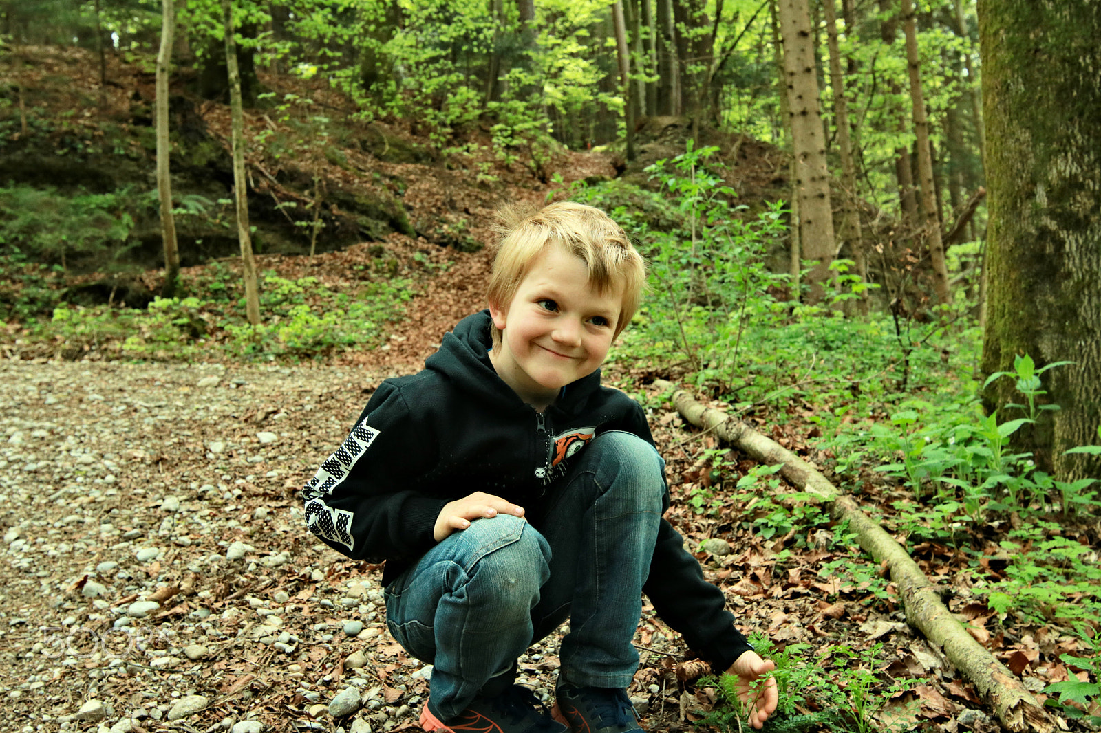 Canon EOS 750D (EOS Rebel T6i / EOS Kiss X8i) sample photo. Finn-luca in the wood1 photography