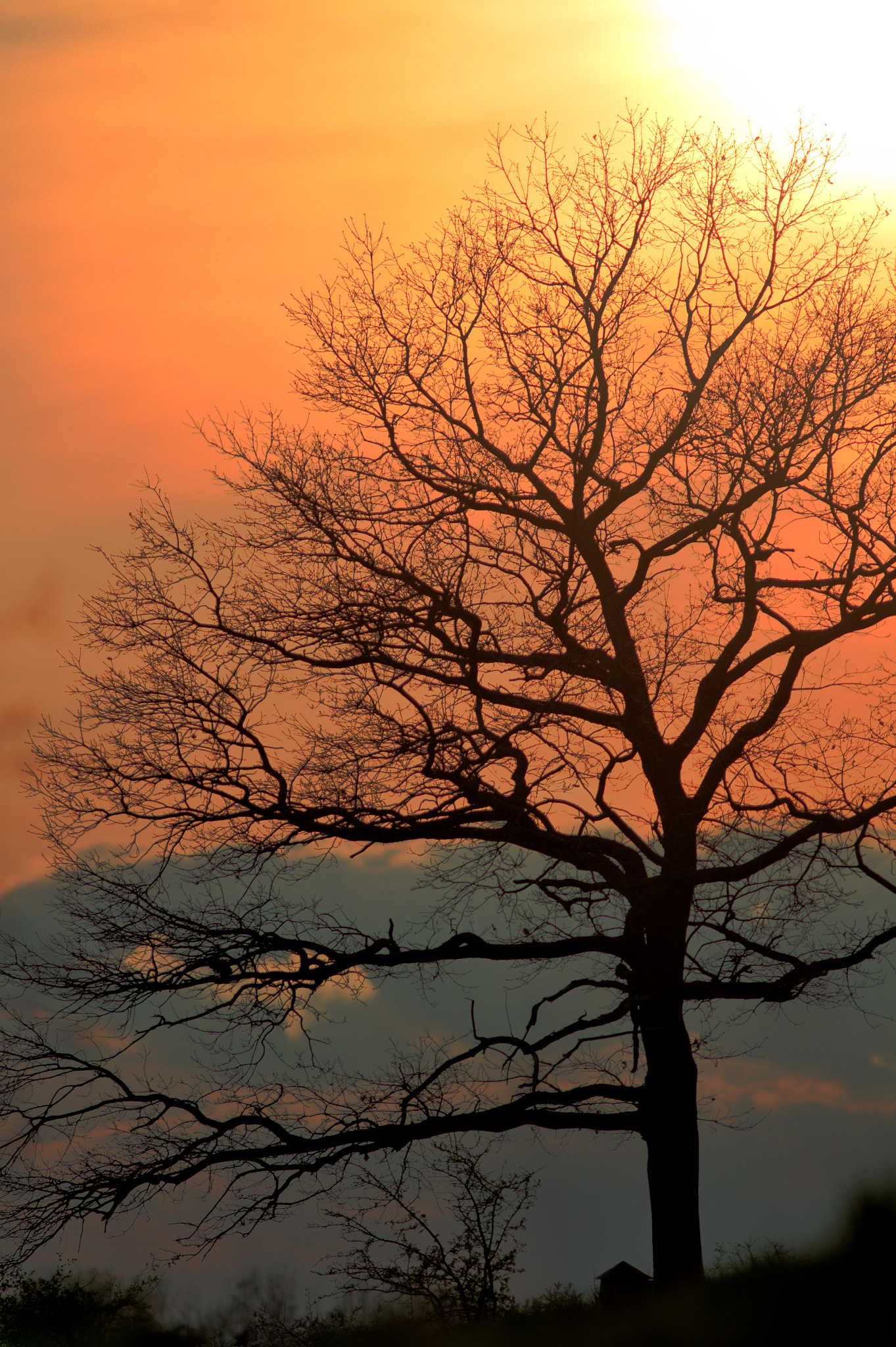 Canon EOS 7D + Canon EF 300mm f/4L sample photo. Tonemapping photography