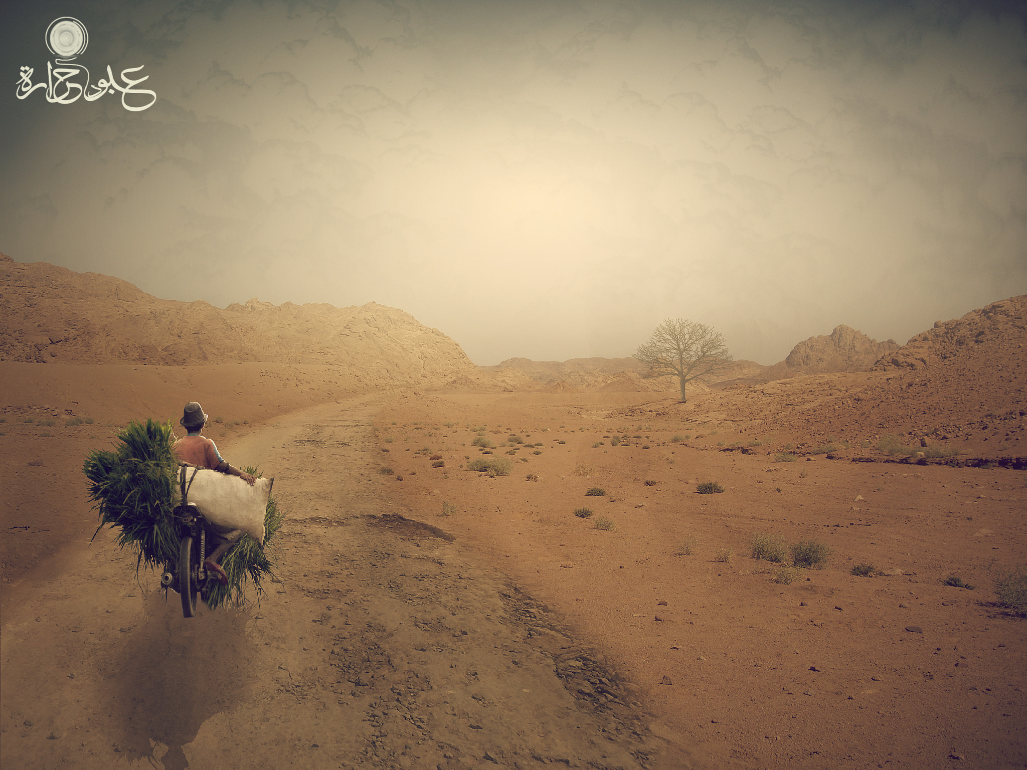 Pentax OPTIO S10 sample photo. Desert background stock by humblebeez dyeawu photography