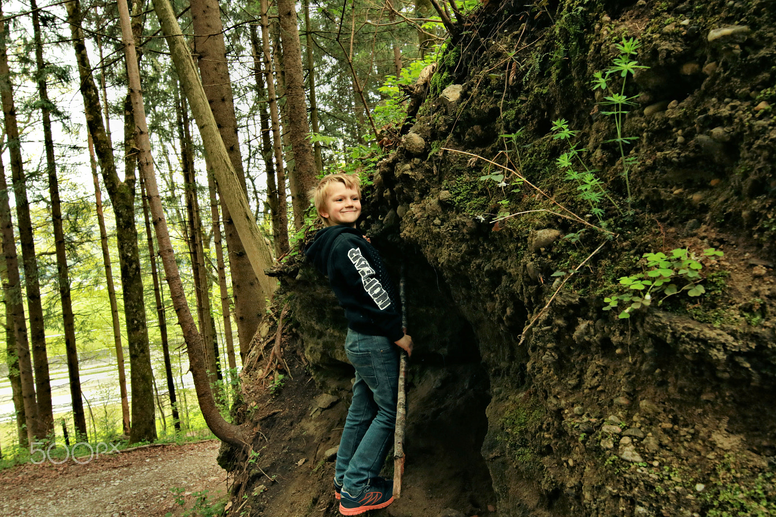 Canon EOS 750D (EOS Rebel T6i / EOS Kiss X8i) sample photo. Finn-luca in the wood2 photography