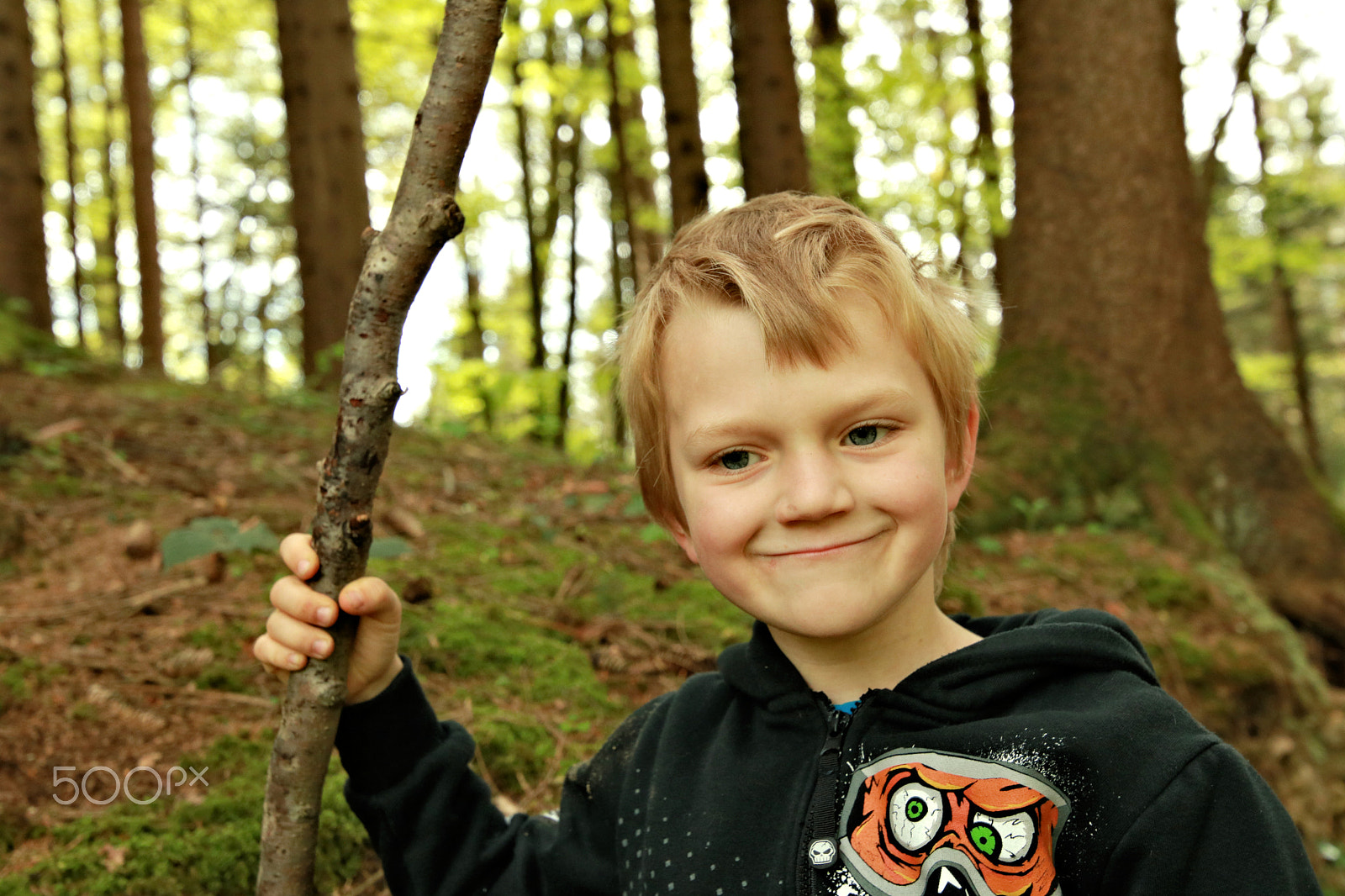 Canon EOS 750D (EOS Rebel T6i / EOS Kiss X8i) sample photo. Finn-luca in the wood3 photography