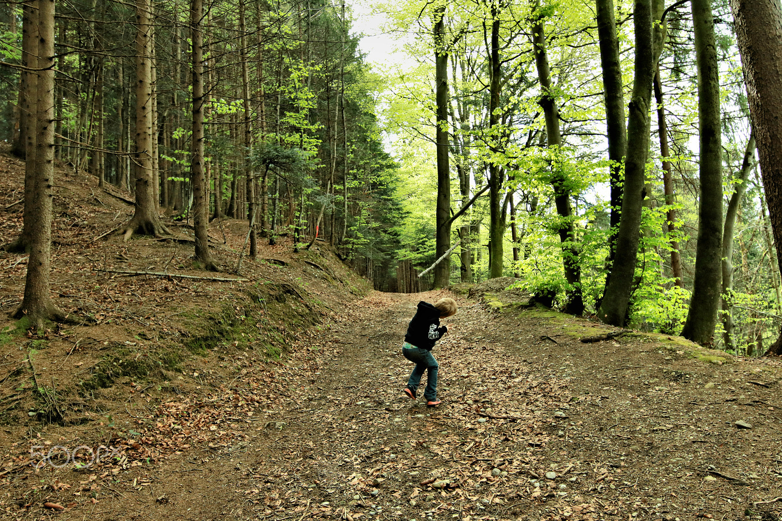 Canon EOS 750D (EOS Rebel T6i / EOS Kiss X8i) sample photo. Finn-luca in the wood4 photography
