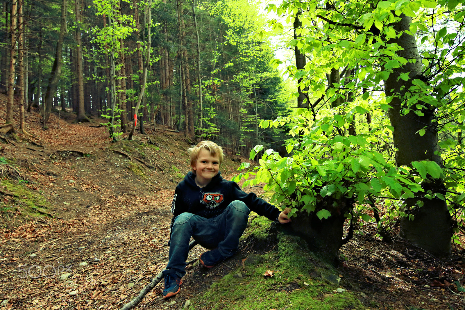 Canon EOS 750D (EOS Rebel T6i / EOS Kiss X8i) sample photo. Finn-luca in the wood5 photography