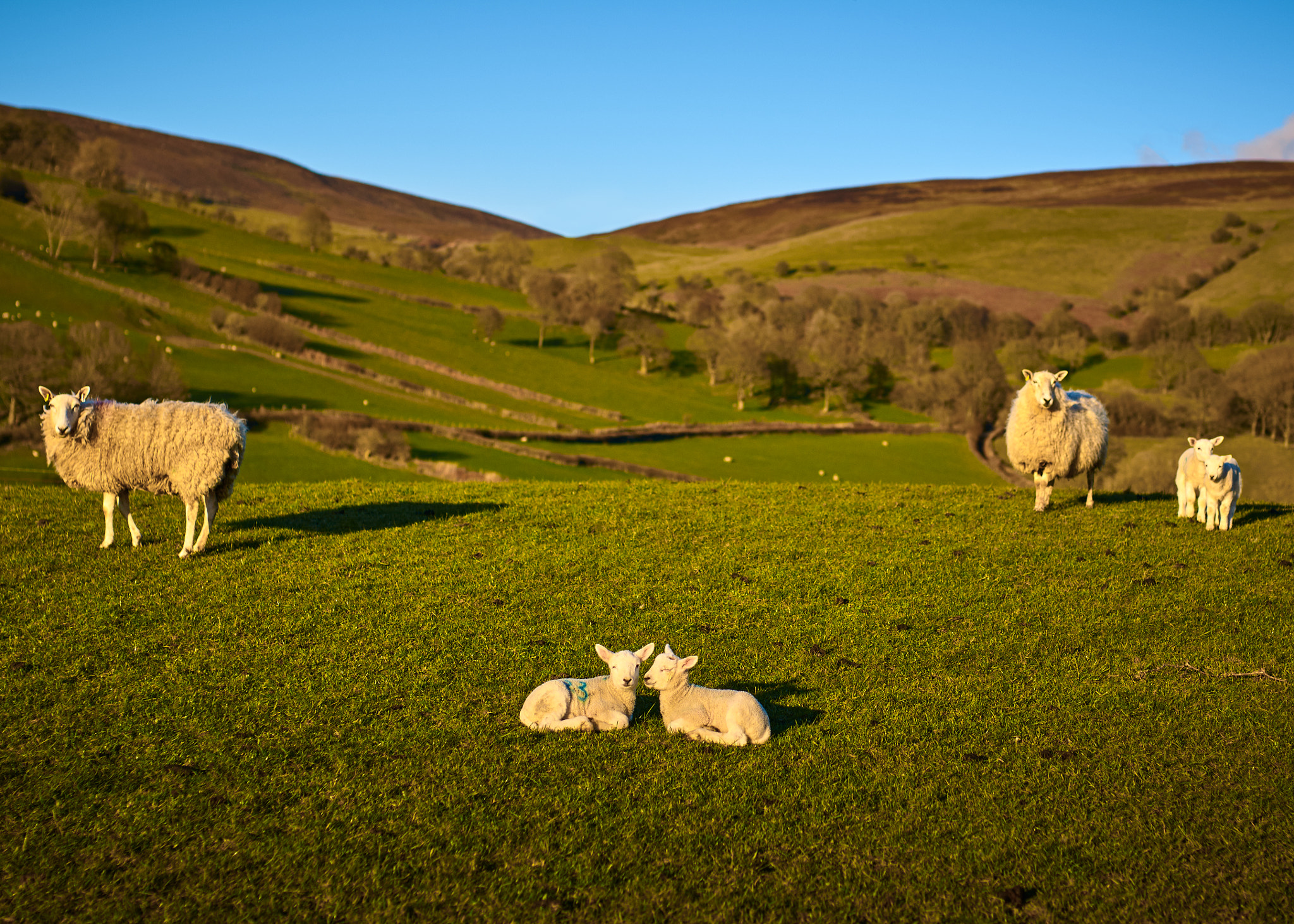 Minolta AF 50mm F1.4 [New] sample photo. Welsh sunset photography