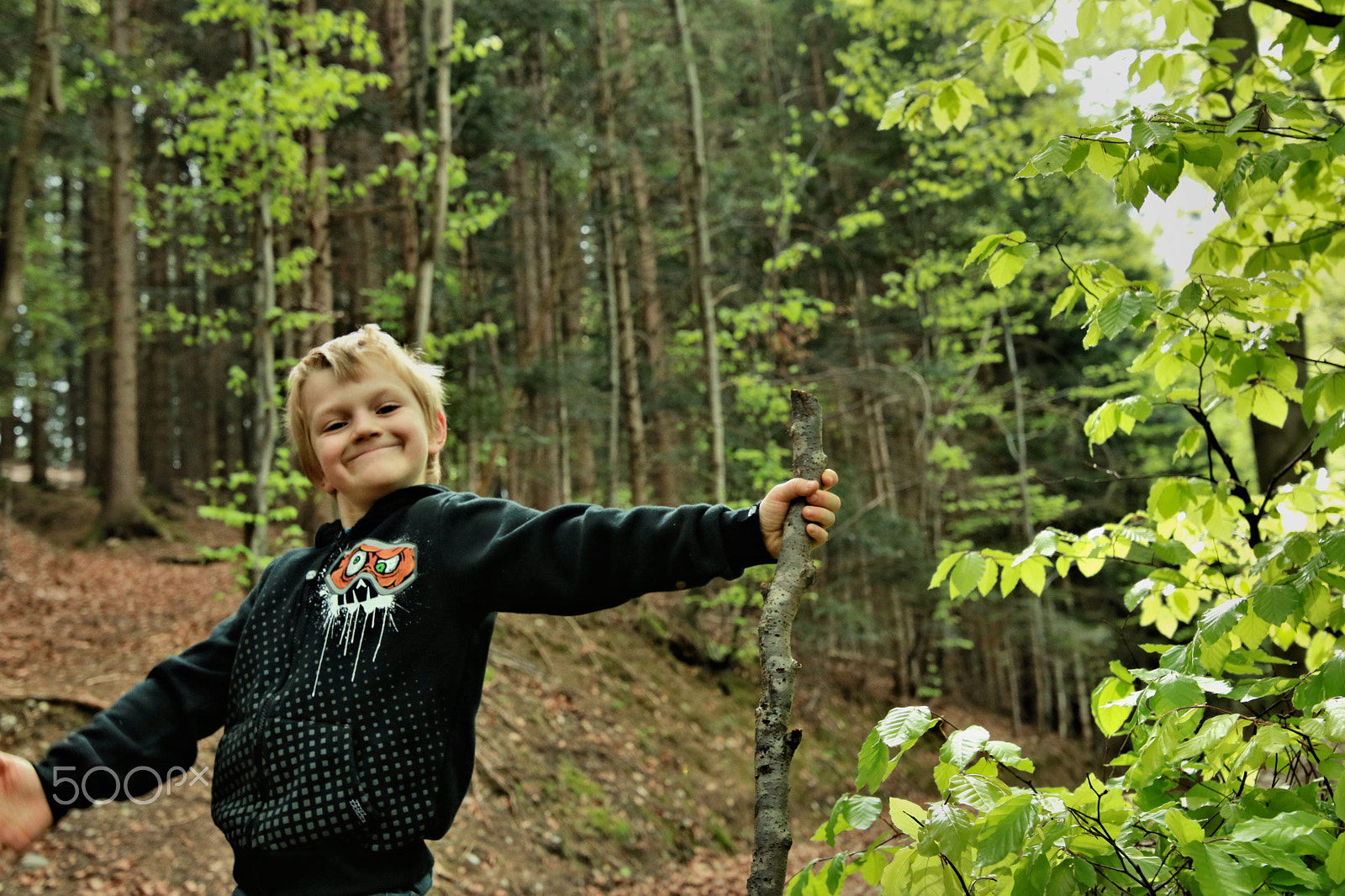 Canon EOS 750D (EOS Rebel T6i / EOS Kiss X8i) sample photo. Finn-luca in the wood6 photography