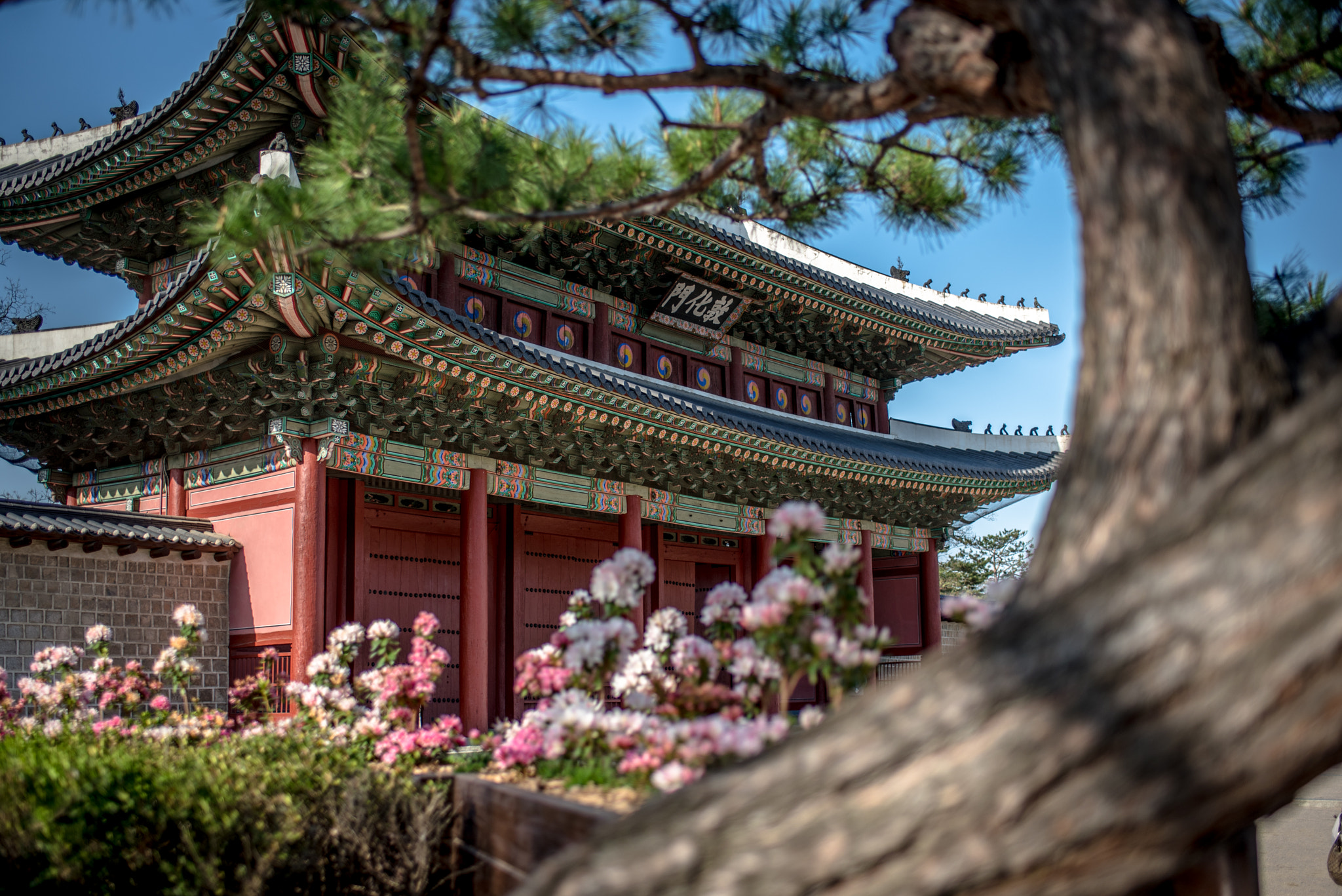 Nikon D750 + AF-S Nikkor 35mm f/1.8G sample photo. The changduk palace photography