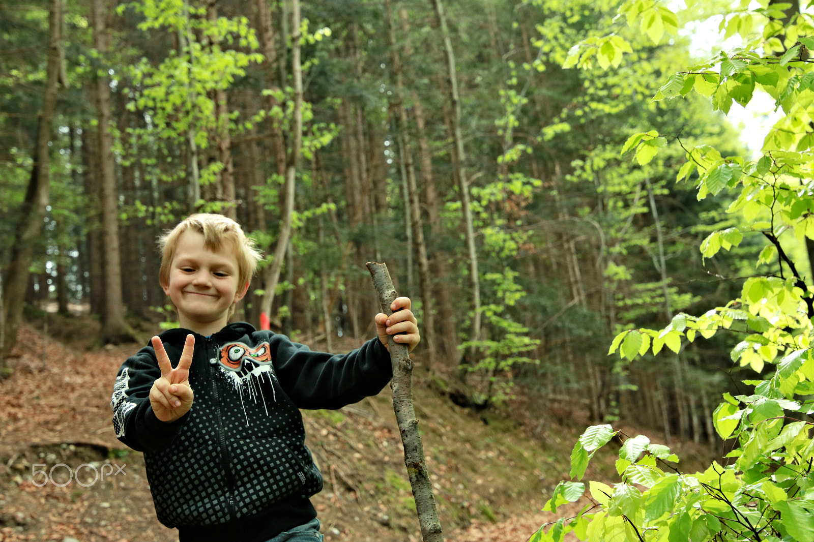 Canon EOS 750D (EOS Rebel T6i / EOS Kiss X8i) sample photo. Finn-luca in the wood7 photography