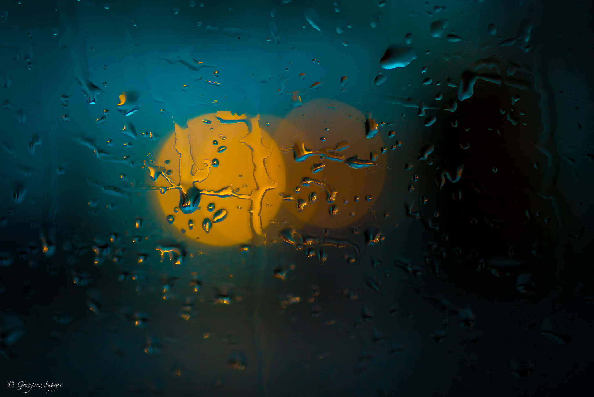 ZEISS Makro-Planar T* 50mm F2 sample photo