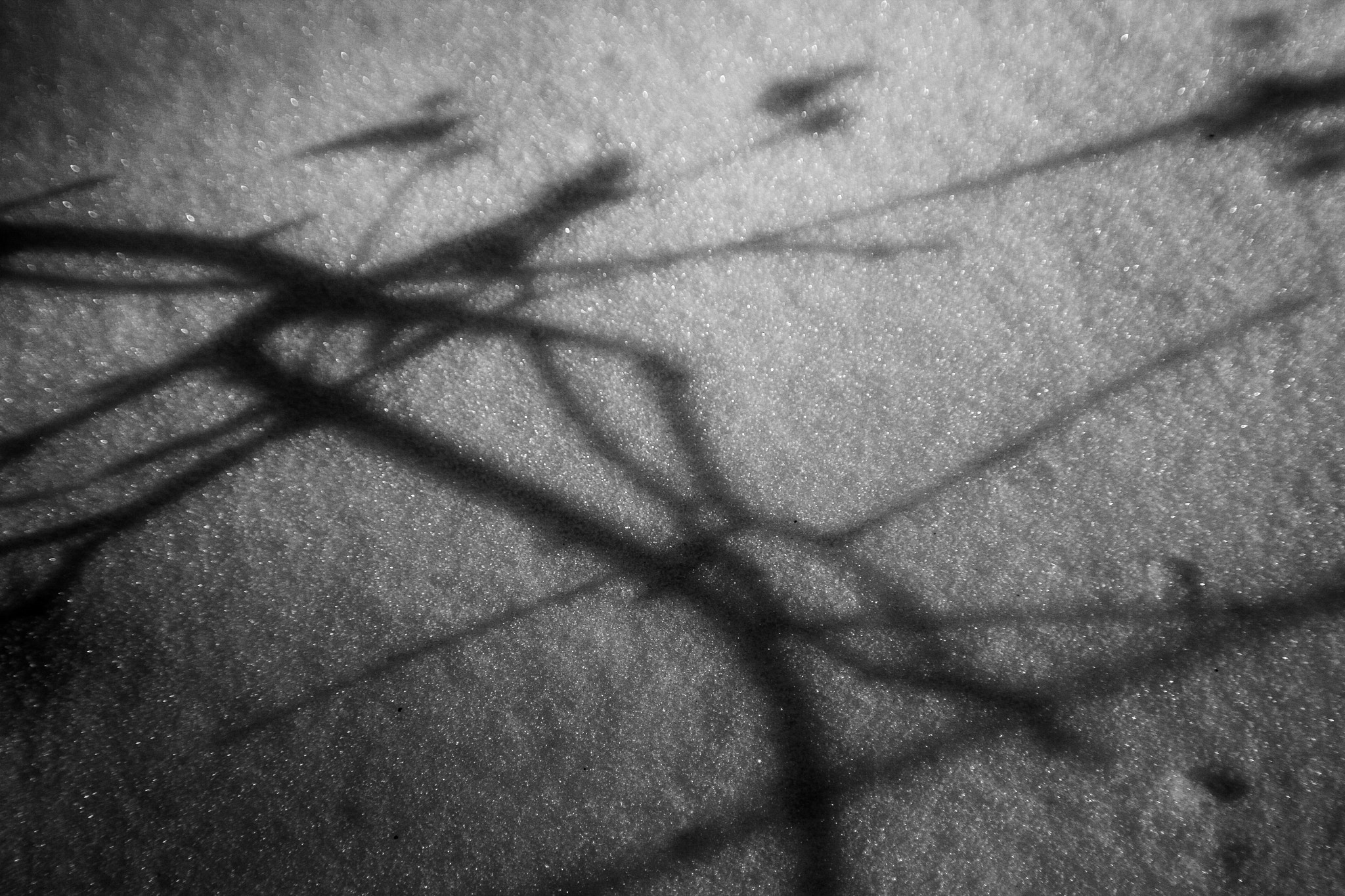 Canon EOS 400D (EOS Digital Rebel XTi / EOS Kiss Digital X) sample photo. Textures photography