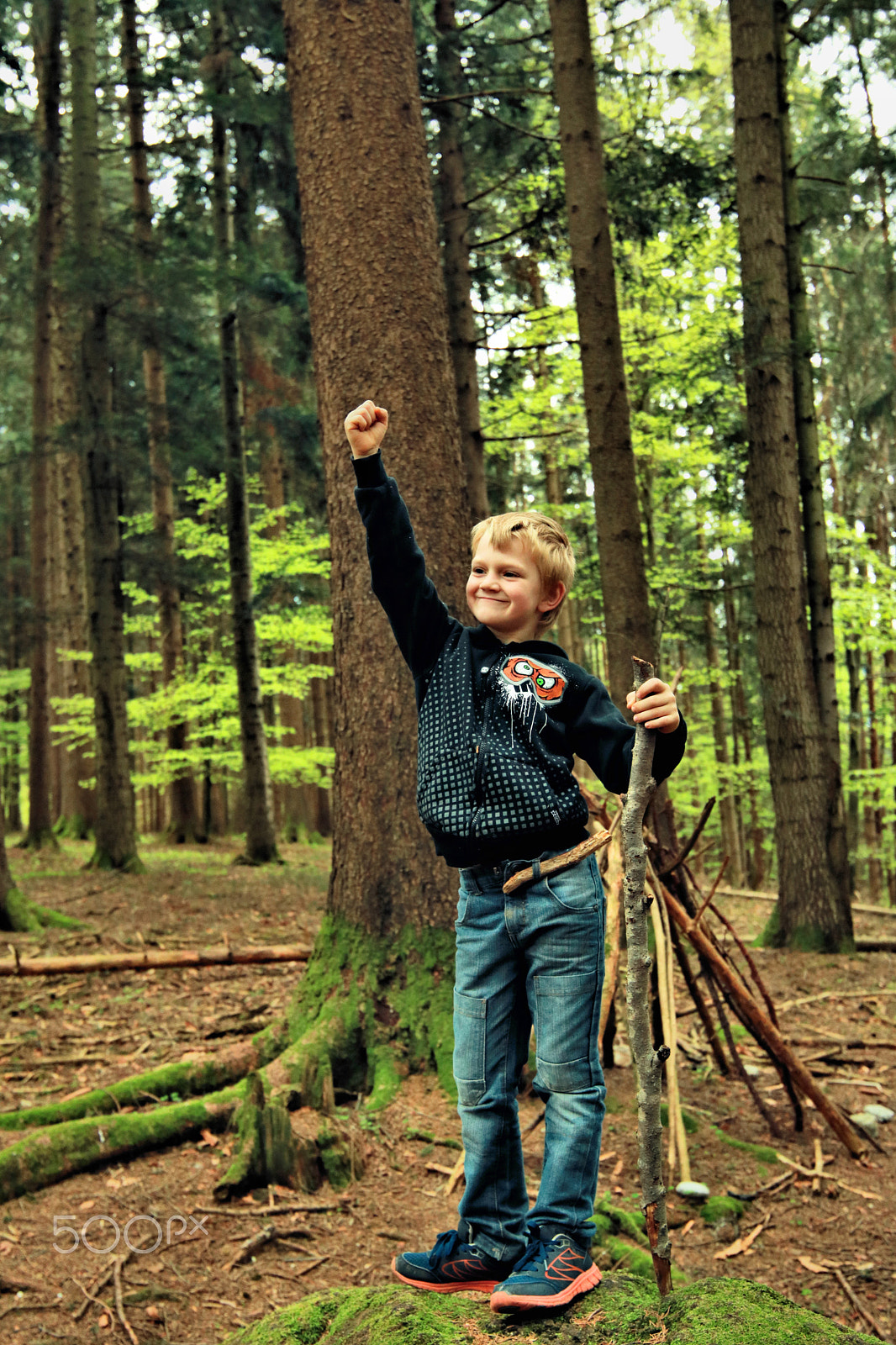 Canon EOS 750D (EOS Rebel T6i / EOS Kiss X8i) sample photo. Finn-luca in the wood8 photography