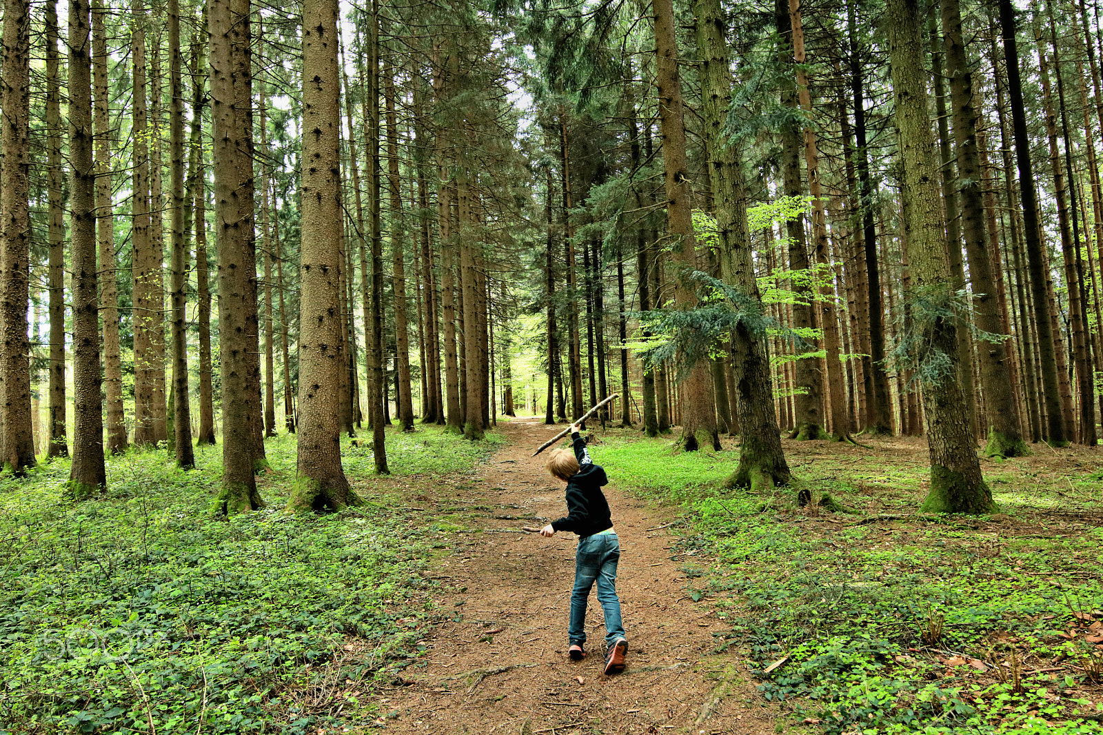 Canon EOS 750D (EOS Rebel T6i / EOS Kiss X8i) sample photo. Finn-luca in the wood9 photography