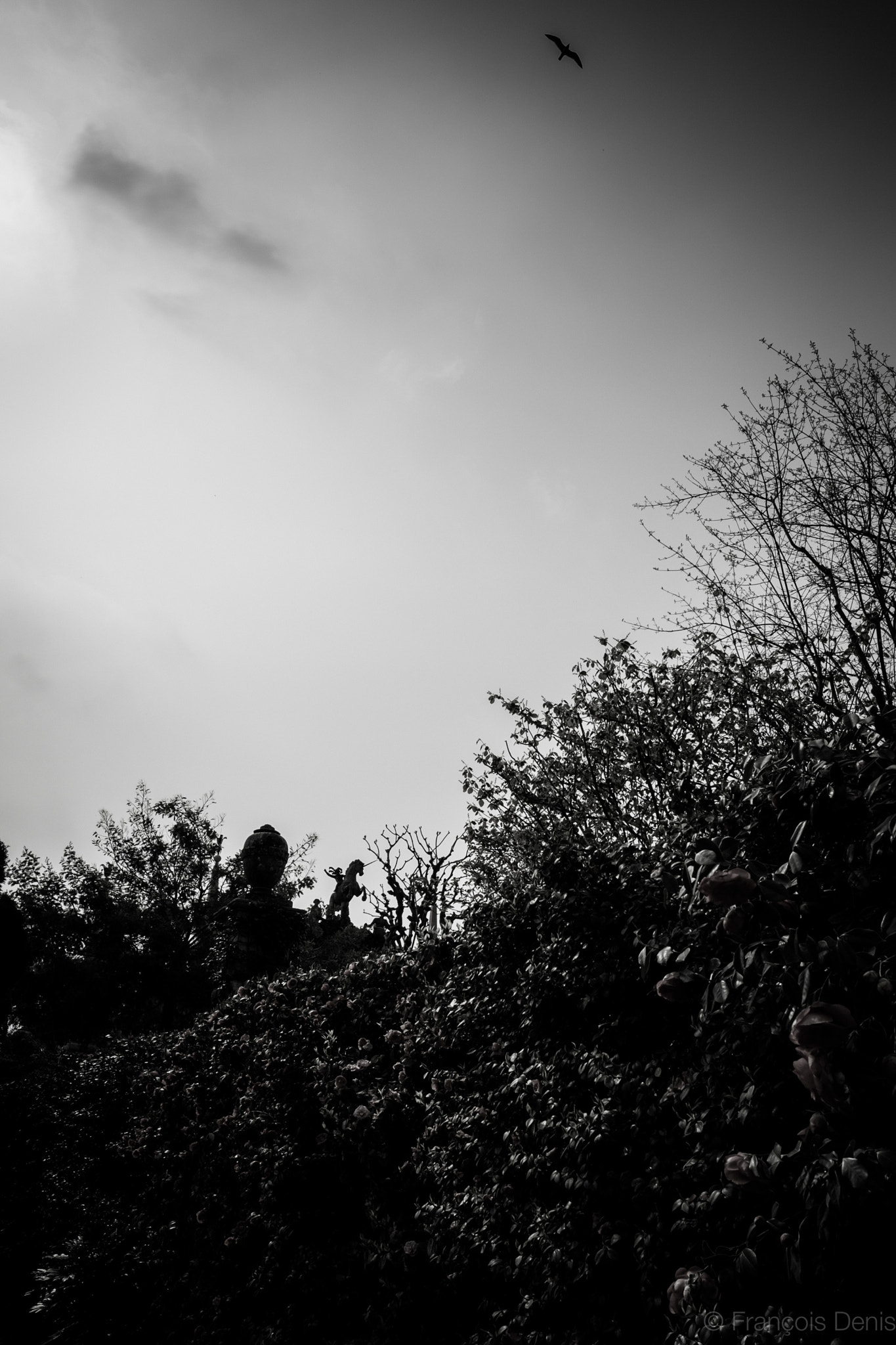 Fujifilm X-E1 + Fujifilm XF 16mm F1.4 R WR sample photo. Statue & bird photography