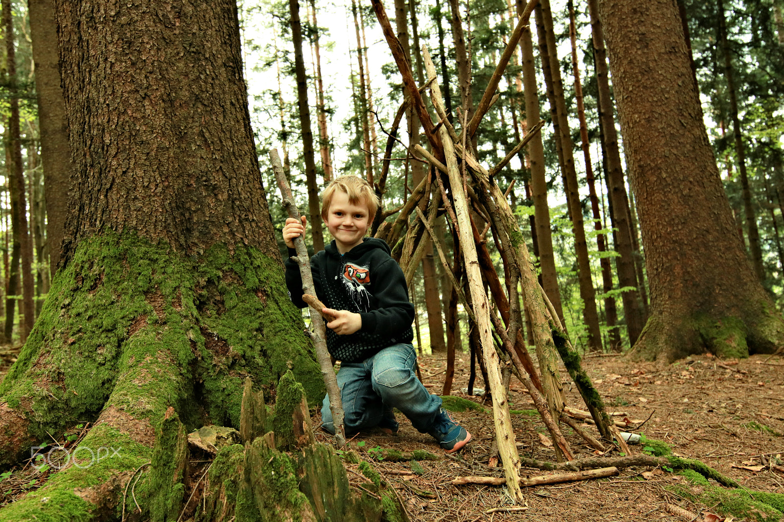 Canon EOS 750D (EOS Rebel T6i / EOS Kiss X8i) sample photo. Finn-luca in the wood10 photography