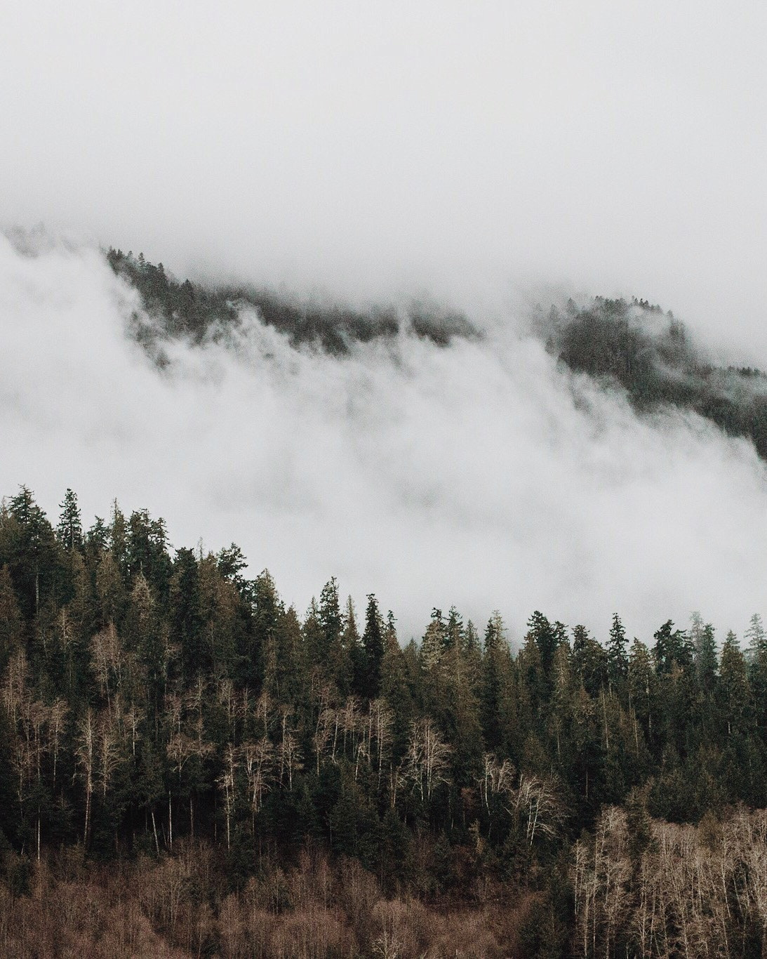Canon EF 40mm F2.8 STM sample photo. Foggy afternoons photography