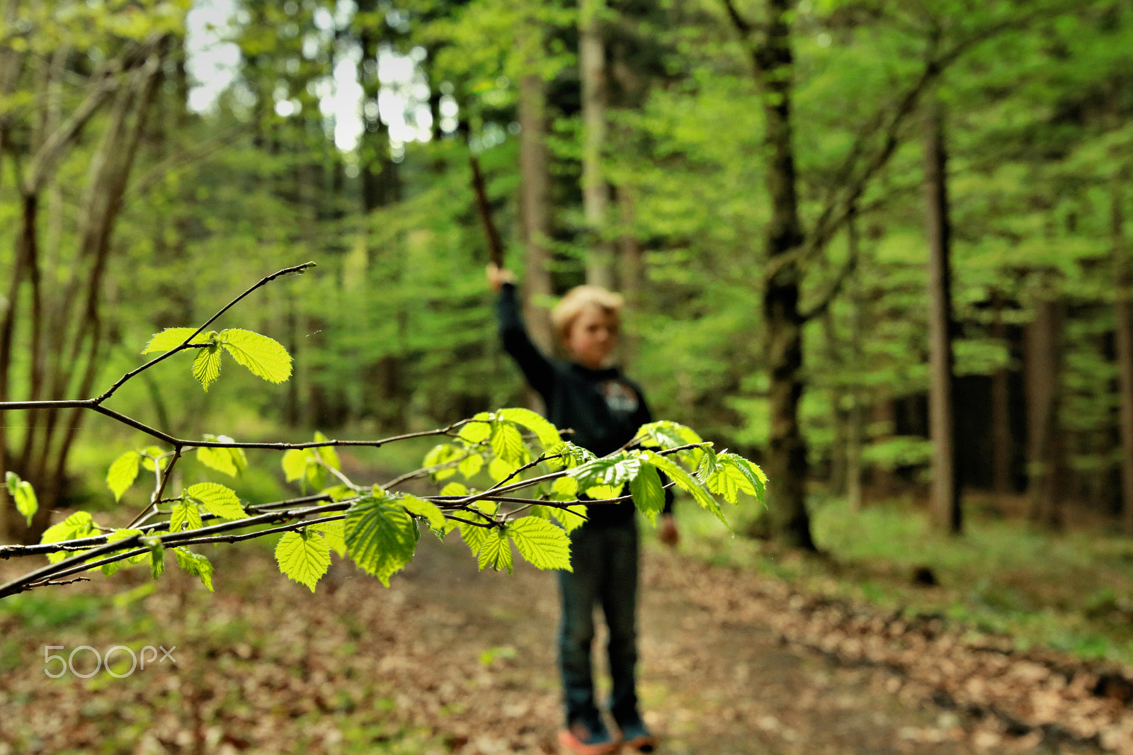 Canon EOS 750D (EOS Rebel T6i / EOS Kiss X8i) sample photo. Finn-luca in the wood11 photography