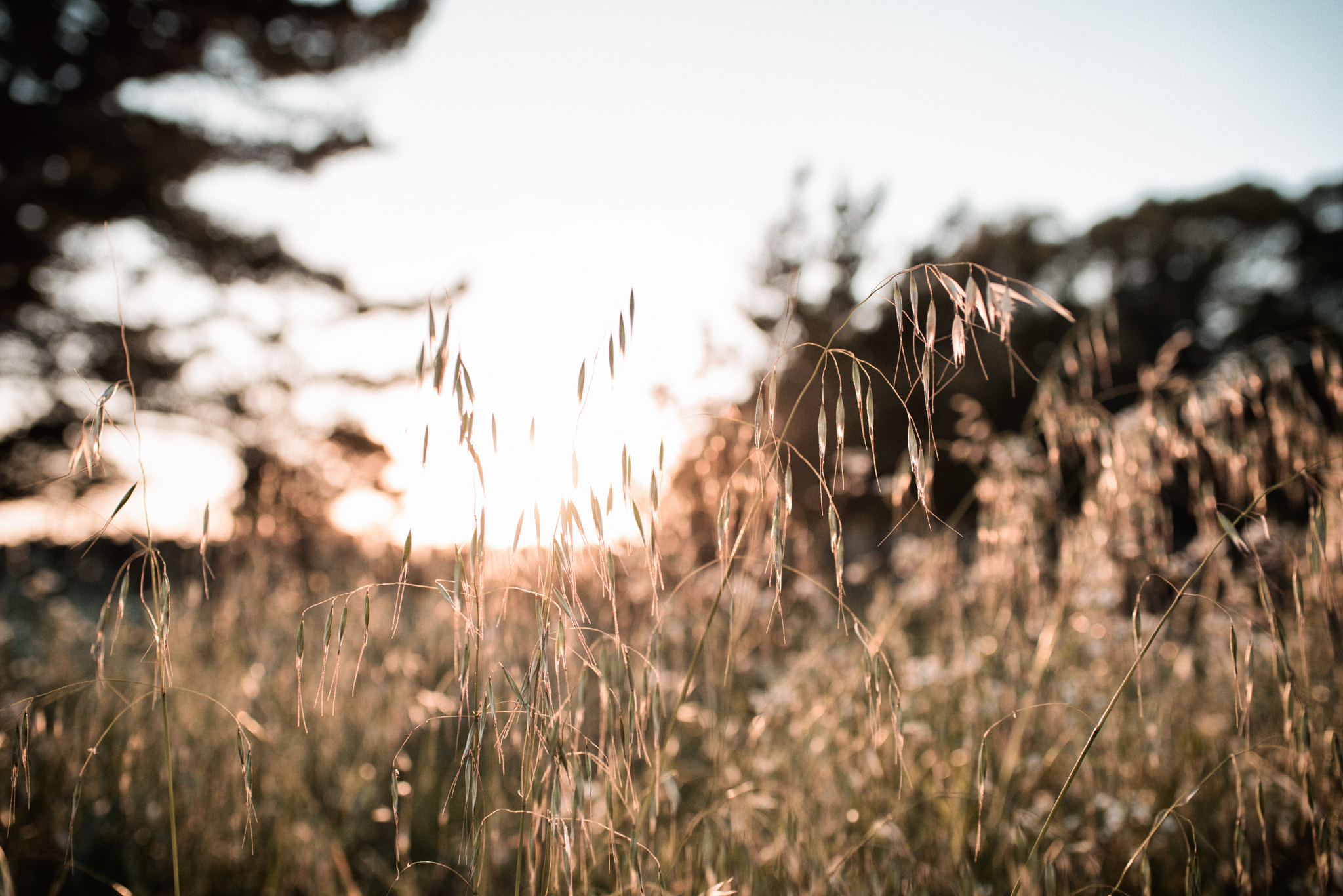 Nikon D750 + AF-S Nikkor 35mm f/1.8G sample photo. Sunset photography