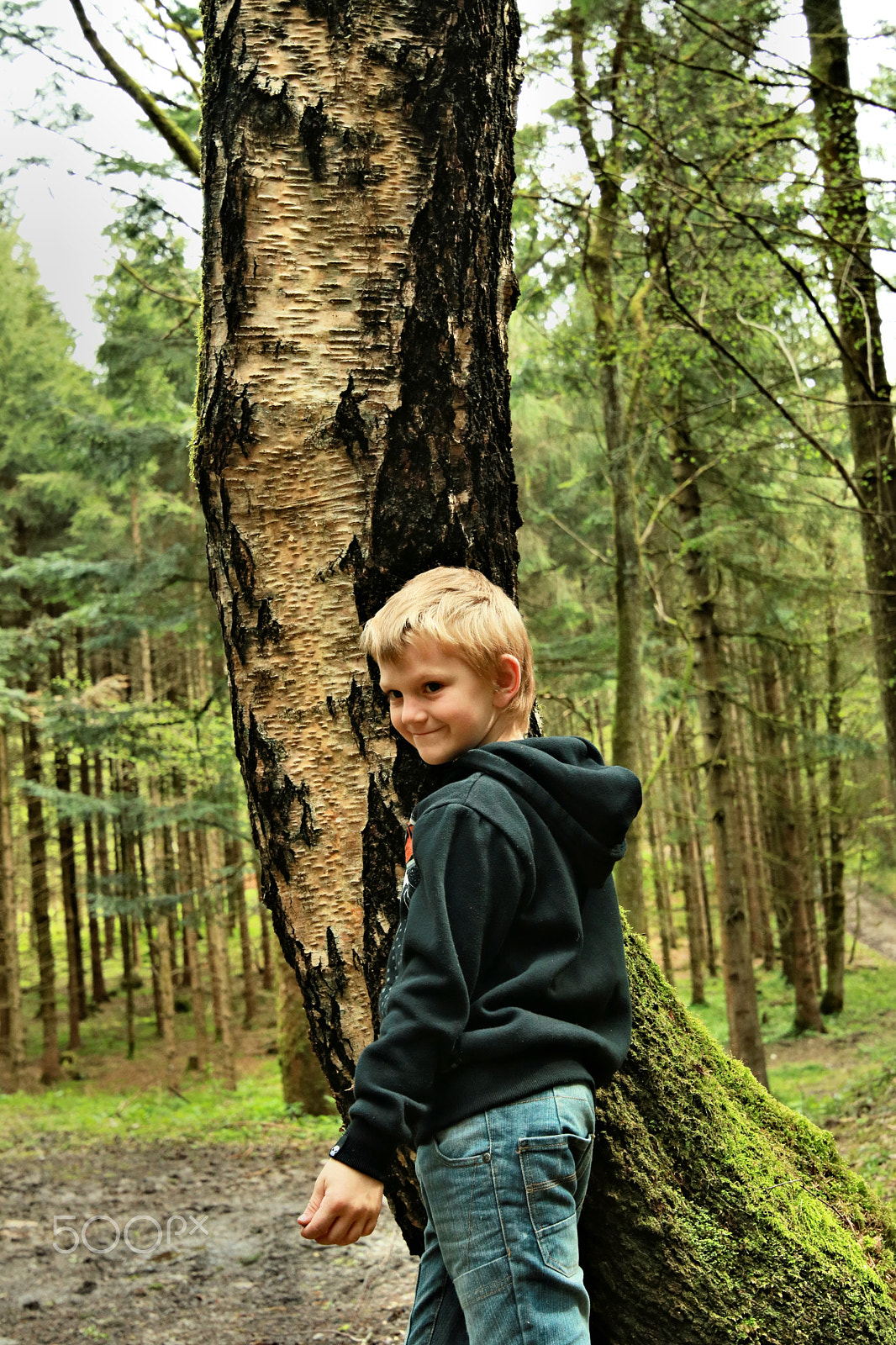 Canon EOS 750D (EOS Rebel T6i / EOS Kiss X8i) sample photo. Finn-luca in the wood13 photography