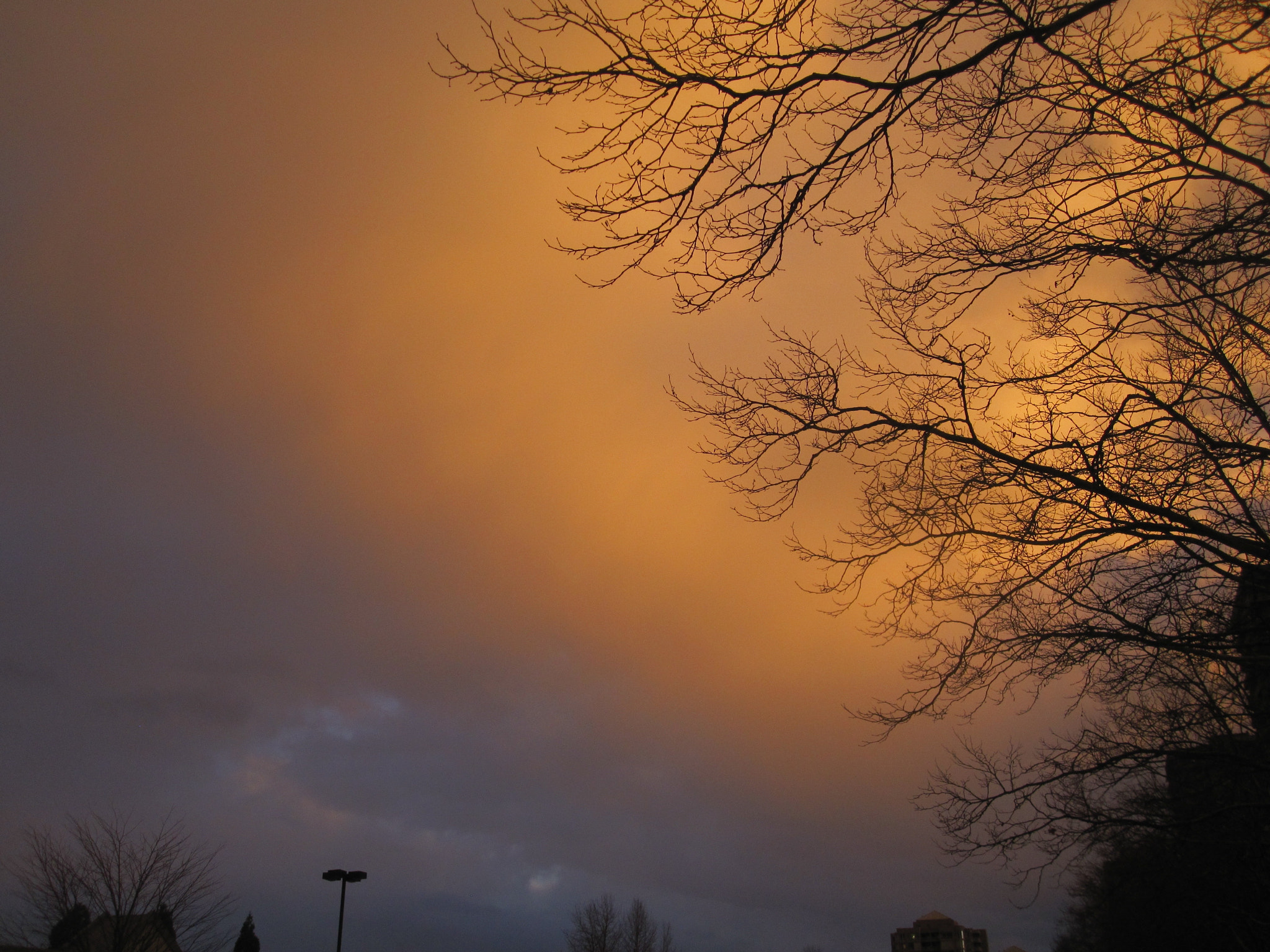 Canon PowerShot SD780 IS (Digital IXUS 100 IS / IXY Digital 210 IS) sample photo