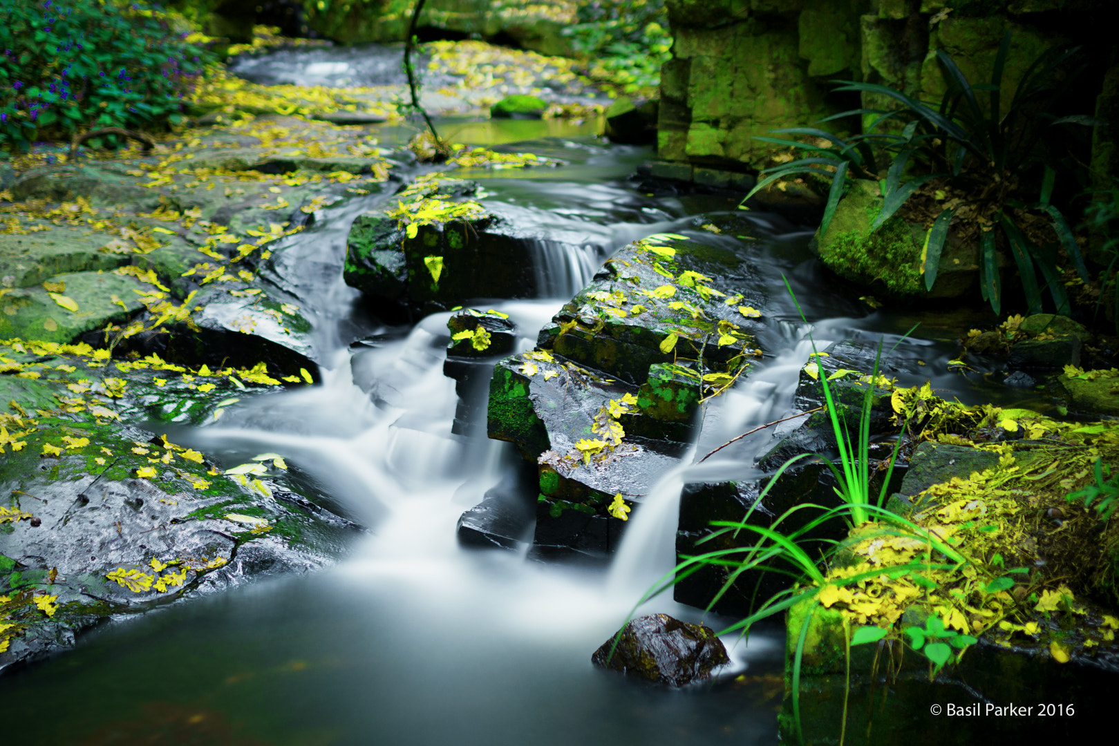 Sony a7R II + Sigma 35mm F1.4 DG HSM Art sample photo. On golden pond photography