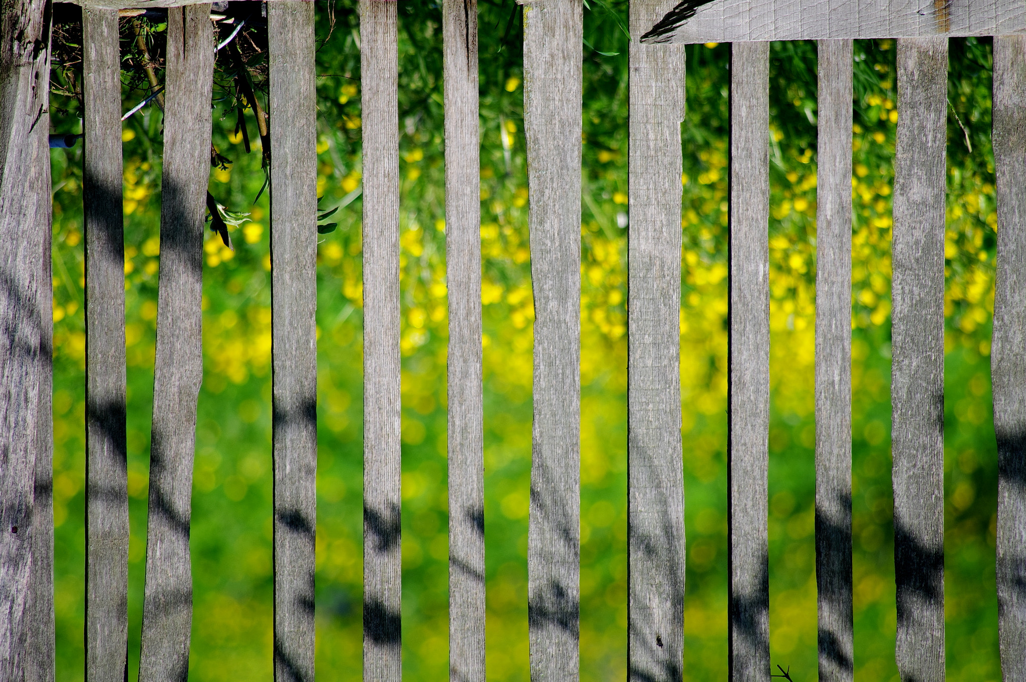 smc PENTAX-DA L 55-300mm F4-5.8 ED sample photo. Frames photography
