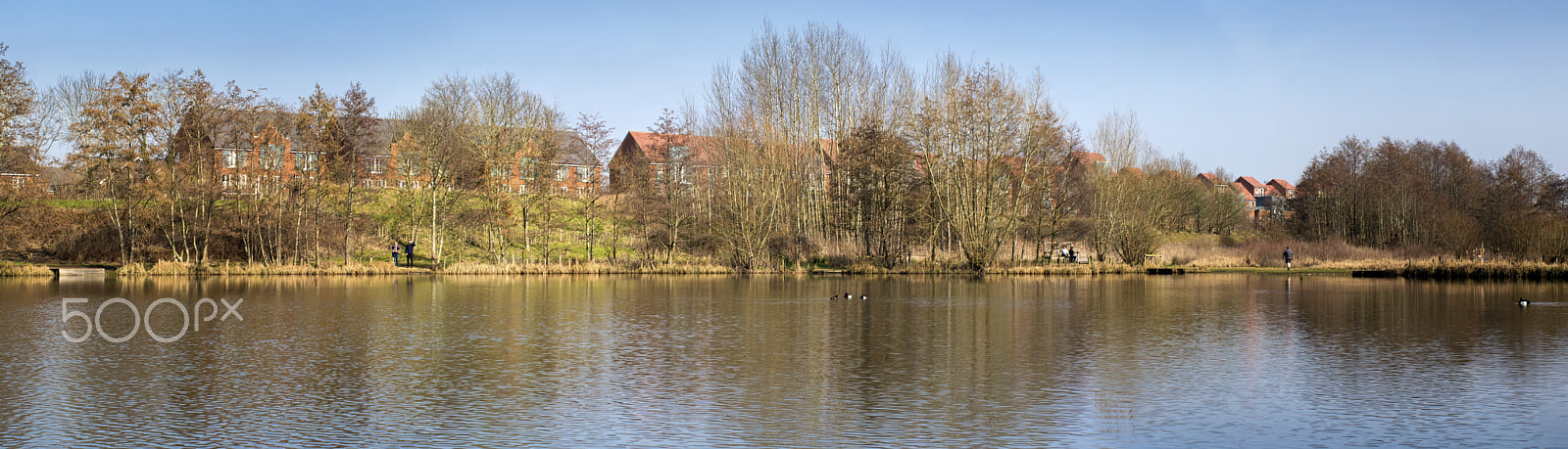 Canon EF 50mm F1.2L USM sample photo. Untitled panorama photography