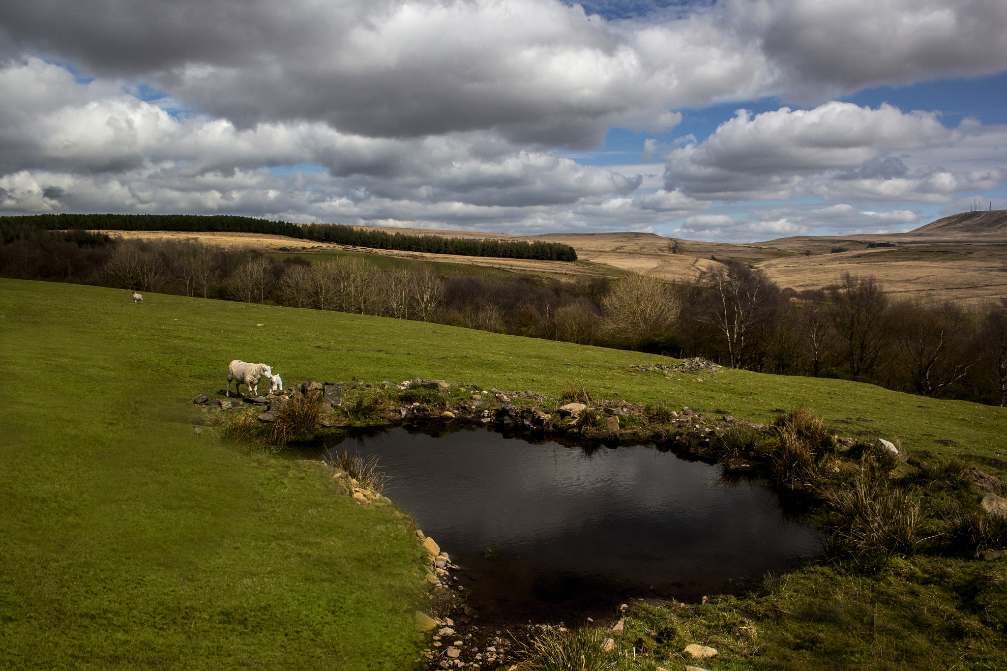 Canon EF-S 18-55mm F3.5-5.6 sample photo. Light painted landscape photography