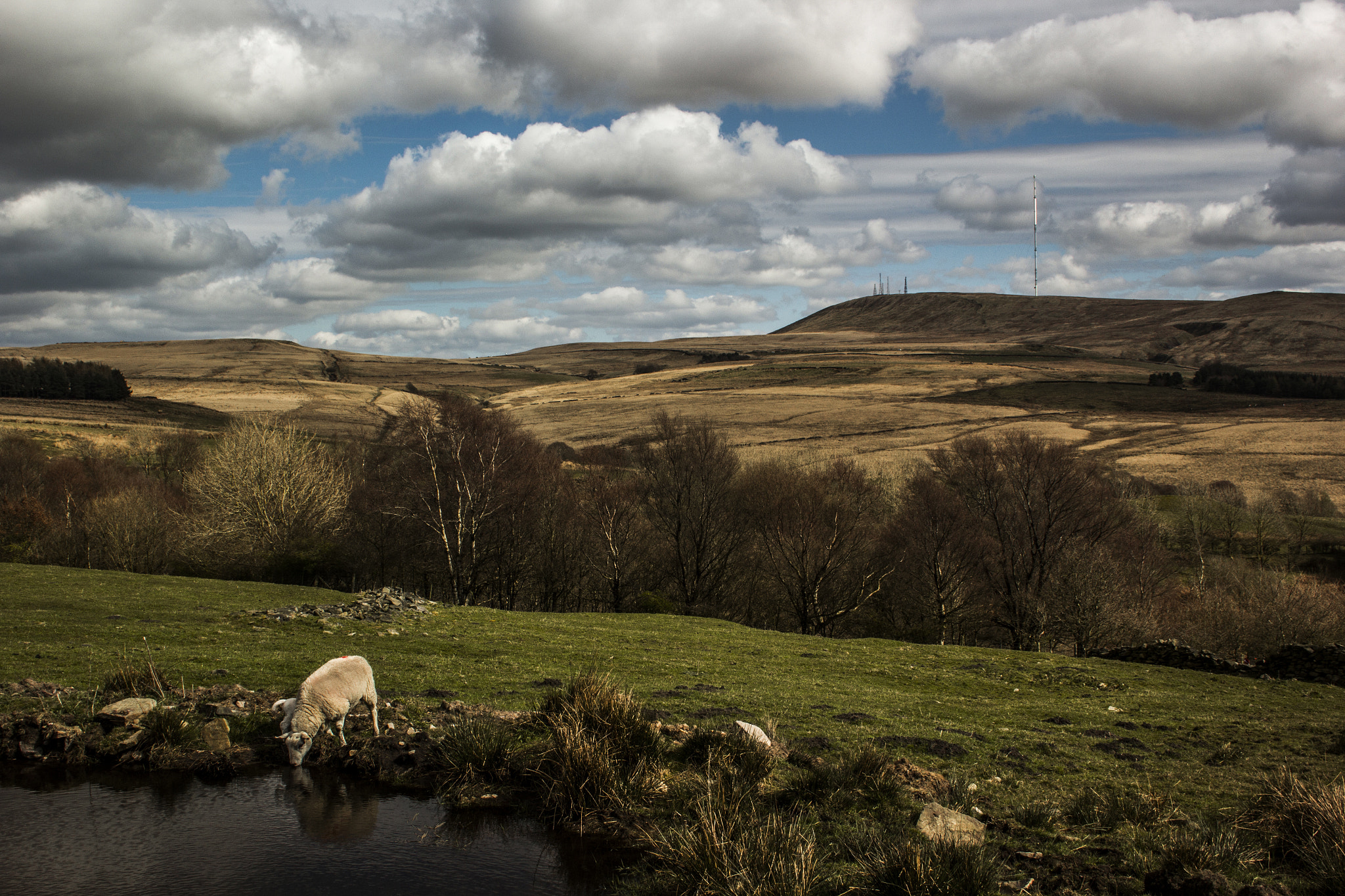 Canon EF-S 18-55mm F3.5-5.6 sample photo. Light painted landscape photography