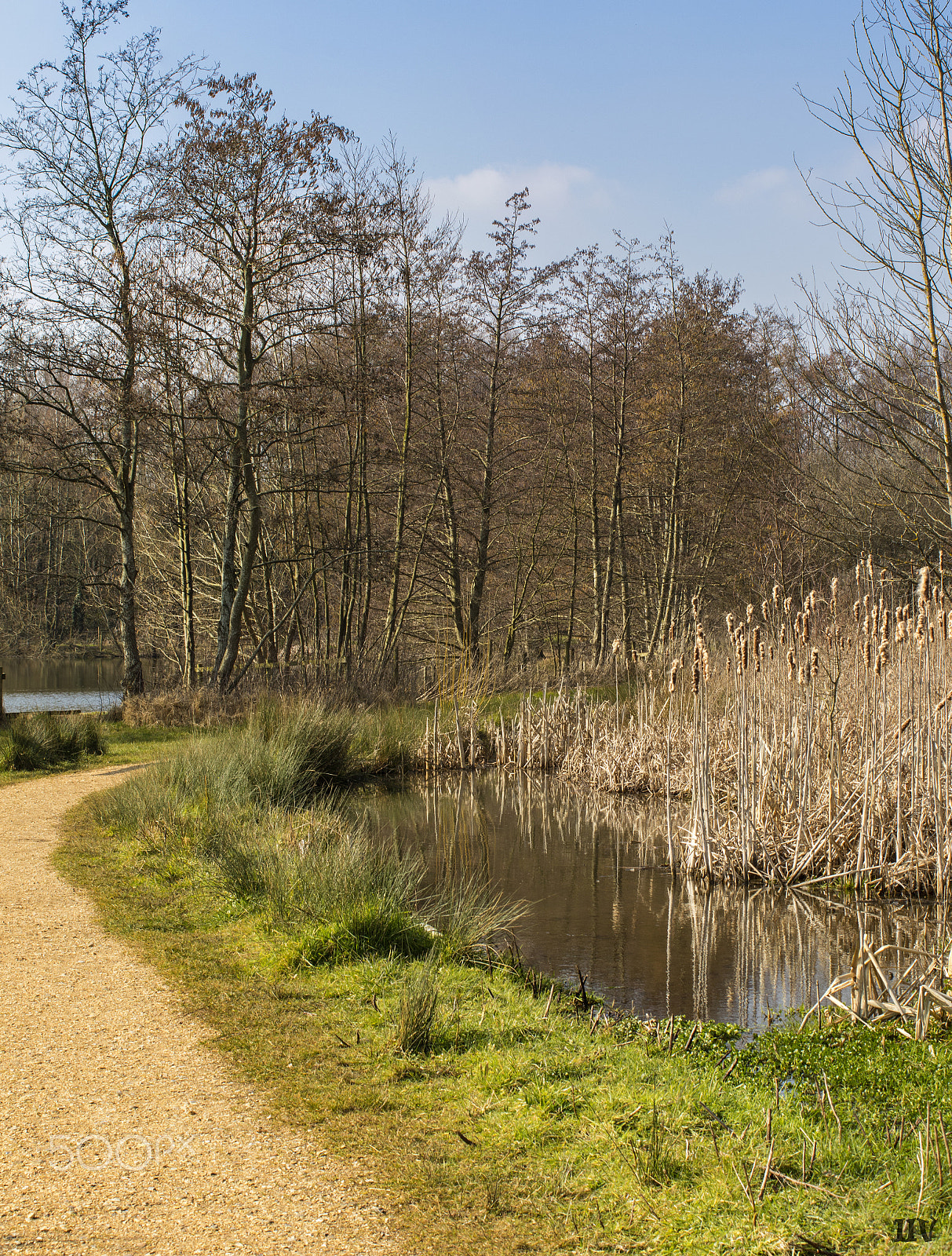 Canon EF 50mm F1.2L USM sample photo. Untitled panorama photography