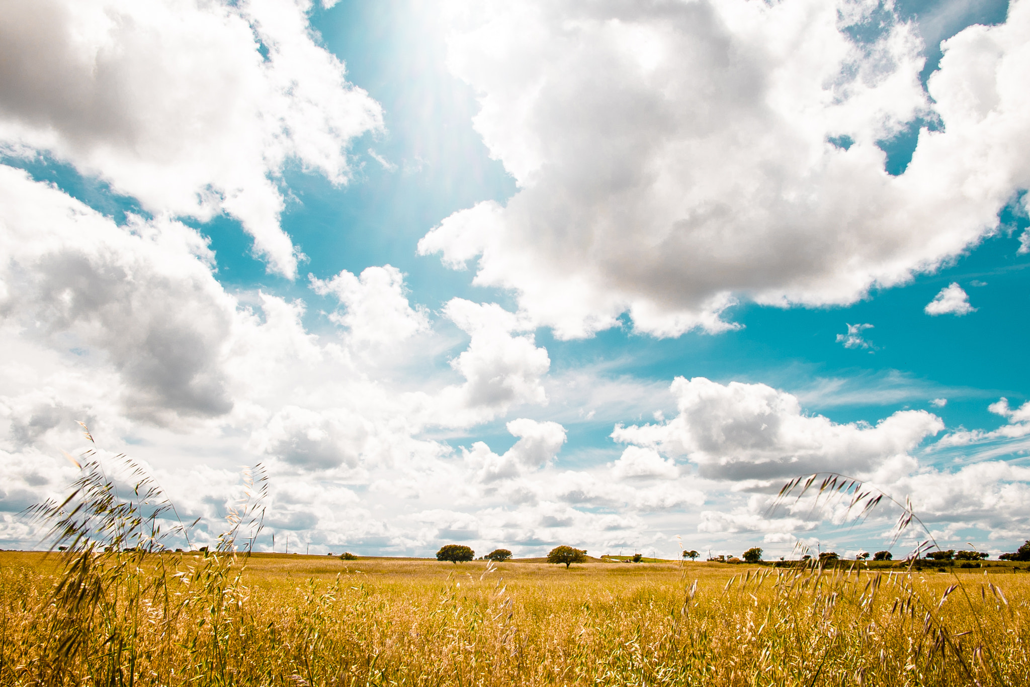 Sony a7S sample photo. Cloudy harvest photography