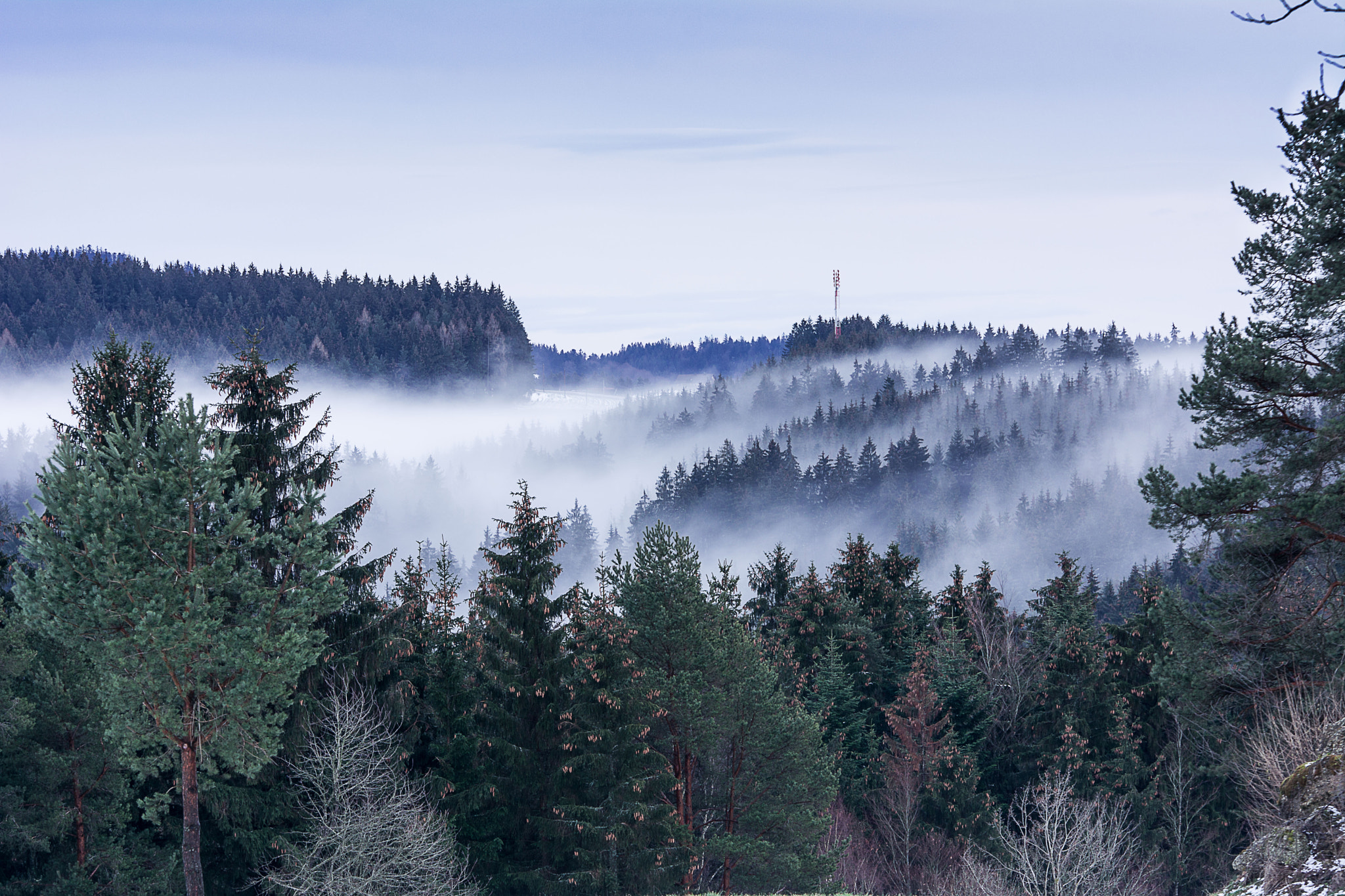 Nikon D5200 sample photo. Winter fog photography