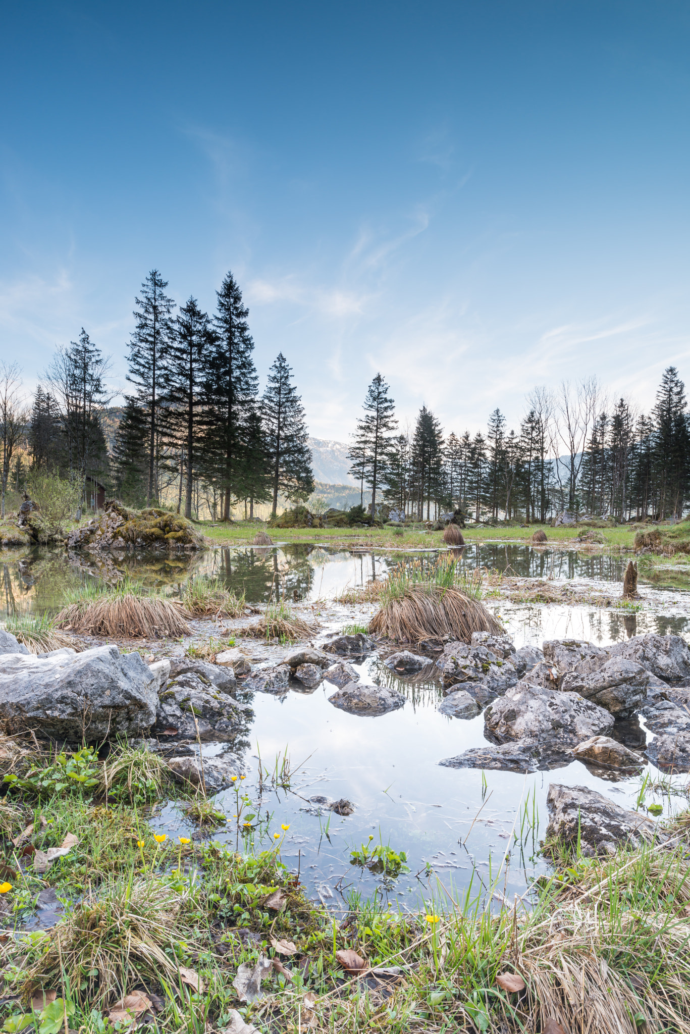Nikon D800 + Nikon PC-E Nikkor 24mm F3.5D ED Tilt-Shift sample photo. Am altausseer see photography