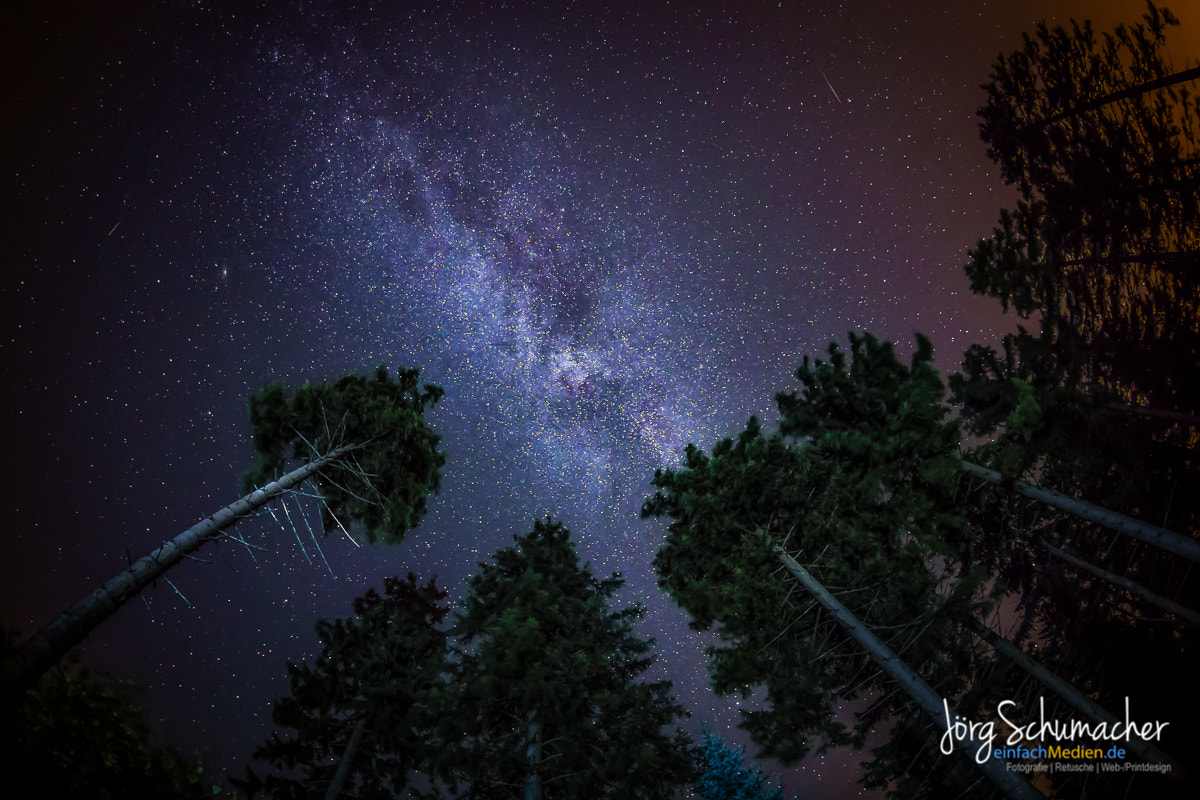 Nikon AF DX Fisheye-Nikkor 10.5mm F2.8G ED sample photo. Sternenhimmel photography