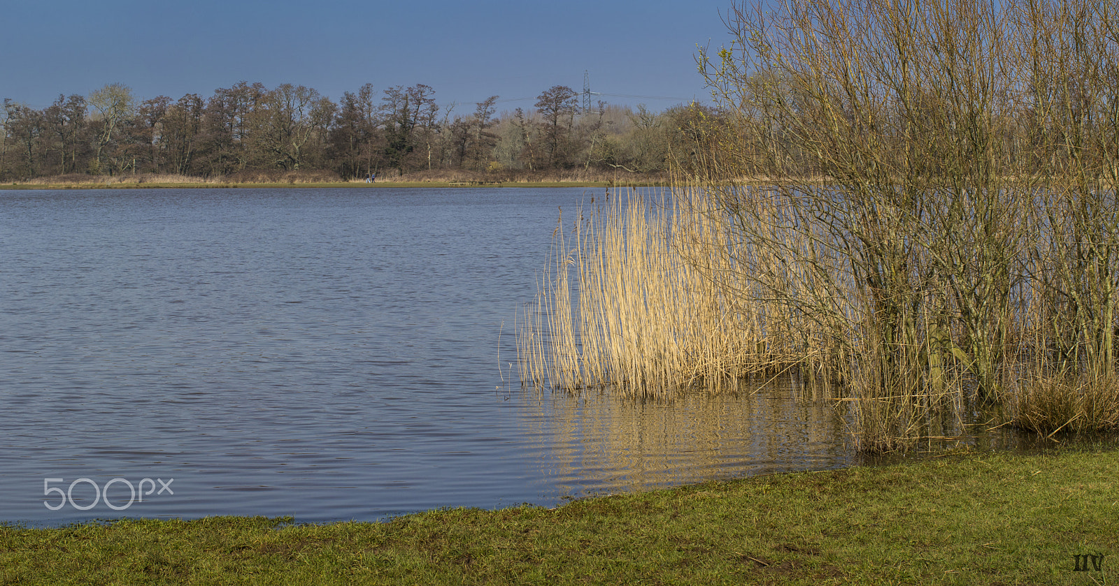 Canon EF 50mm F1.2L USM sample photo. Untitled panorama photography