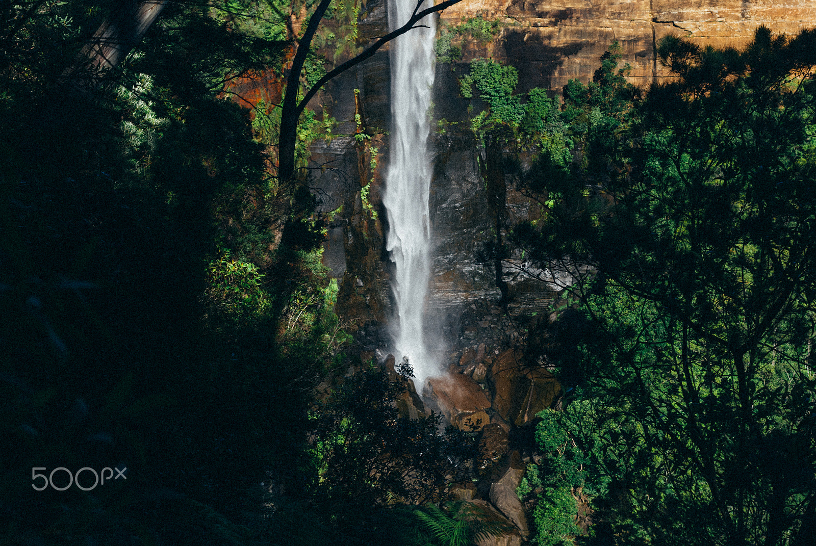 Nikon D80 + Nikon AF-S Nikkor 50mm F1.4G sample photo. Kangaroo valley photography