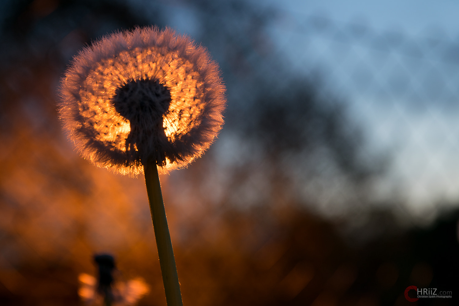 Sigma 17-70mm F2.8-4 DC Macro OS HSM | C sample photo. Sunset photography