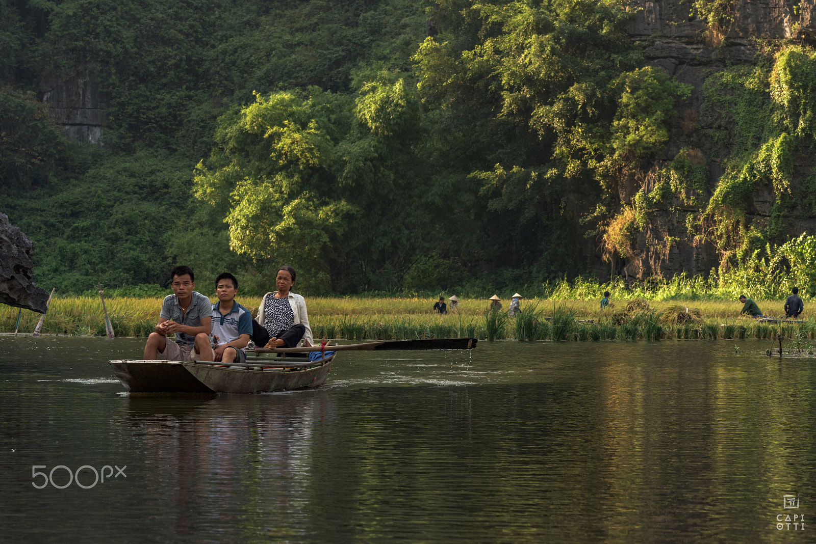 Nikon D810 + Nikon AF Nikkor 105mm F2D DC sample photo. Ninh binh photography