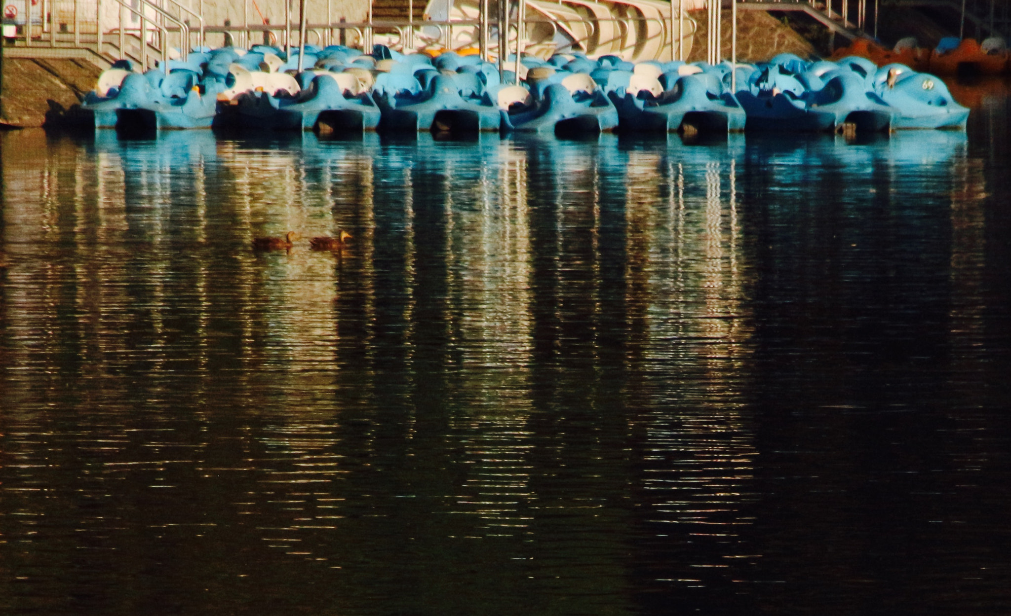 Canon 18-250mm sample photo
