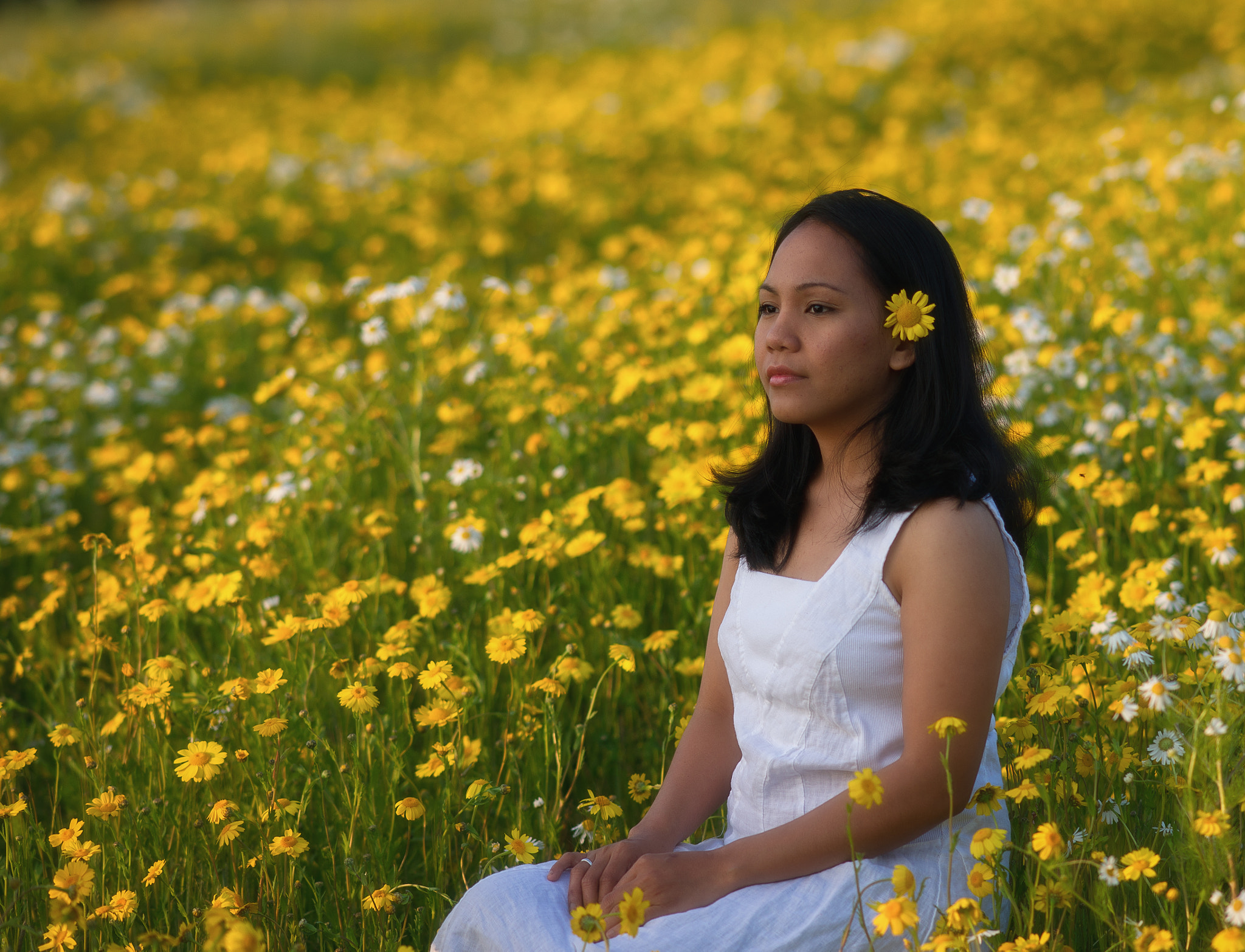 Sony Sonnar T* 135mm F1.8 ZA sample photo. Analiza in flowers photography