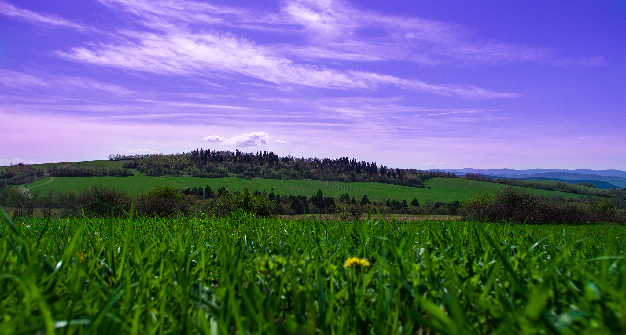 HD Pentax DA 15mm F4 ED AL Limited sample photo. Nature photography