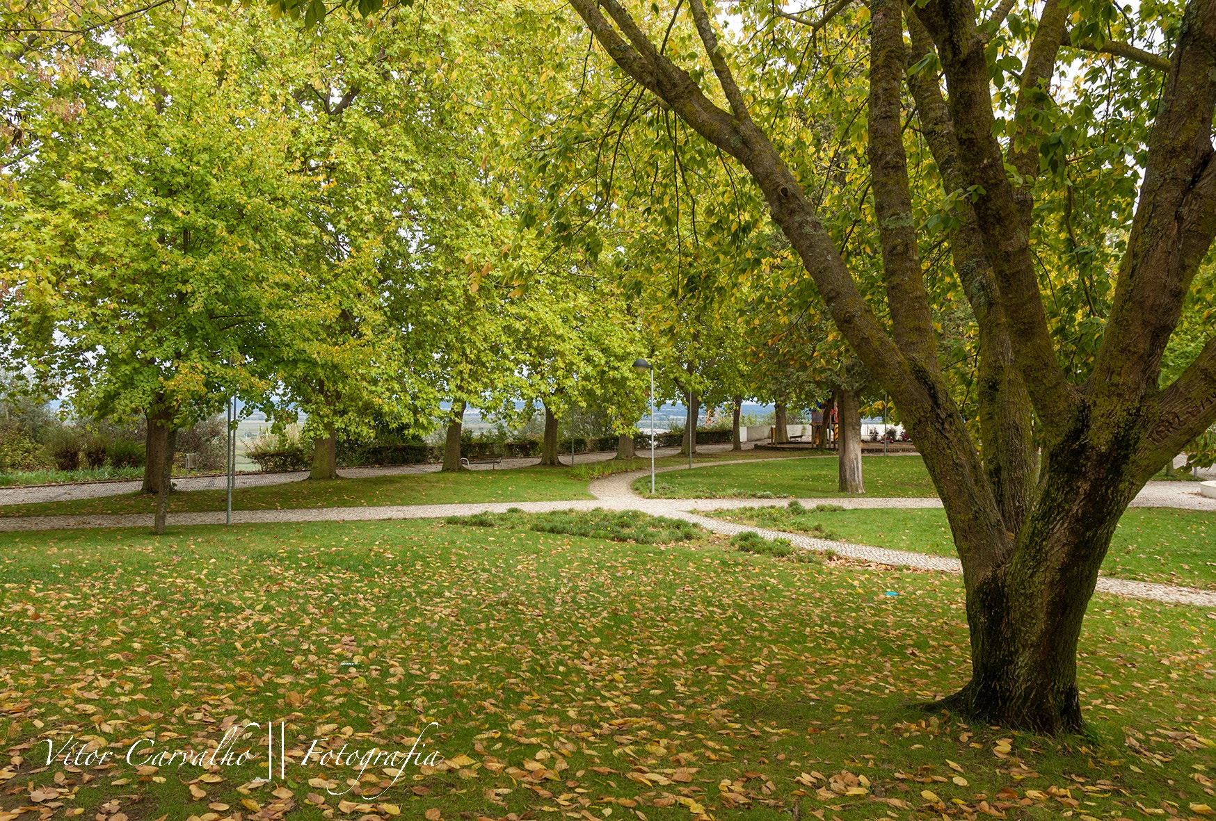 Nikon D2X sample photo