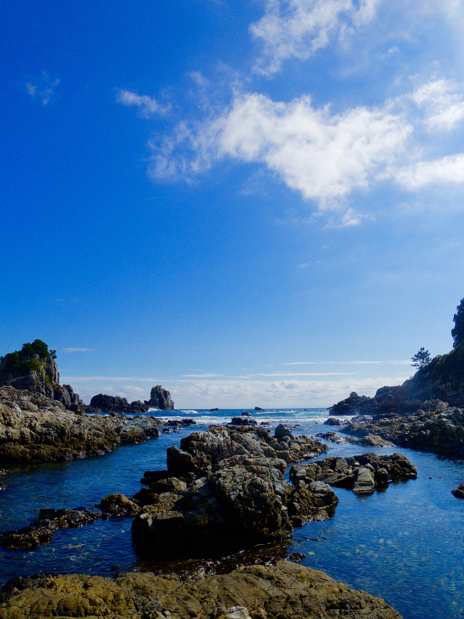Pentax 02 Standard Zoom sample photo. 23156359242.jpg photography