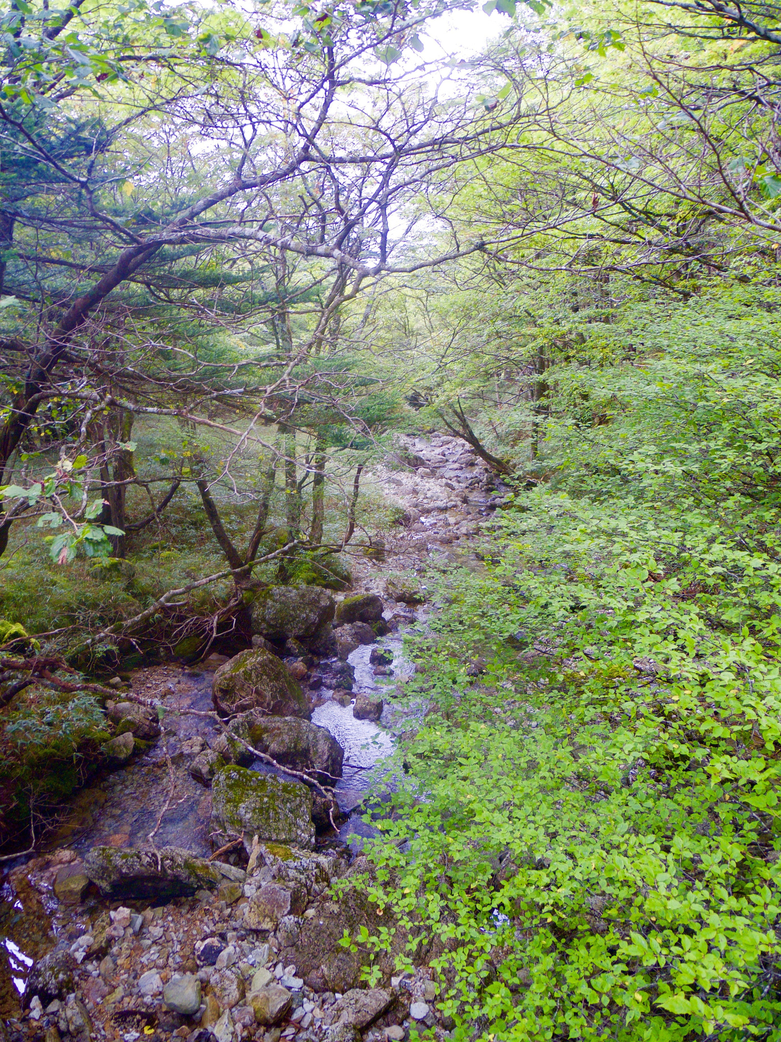 Pentax 02 Standard Zoom sample photo. 20974354804.jpg photography