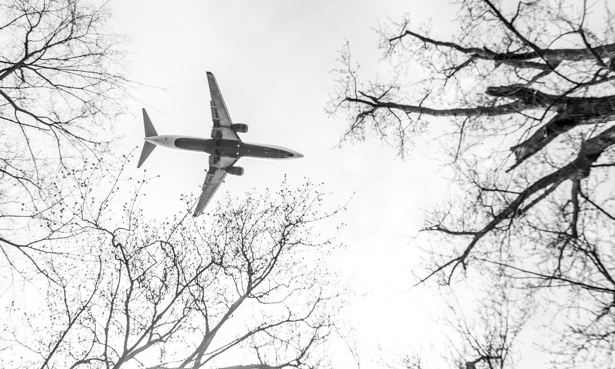 Canon EOS 650D (EOS Rebel T4i / EOS Kiss X6i) sample photo. Coming in for landing photography
