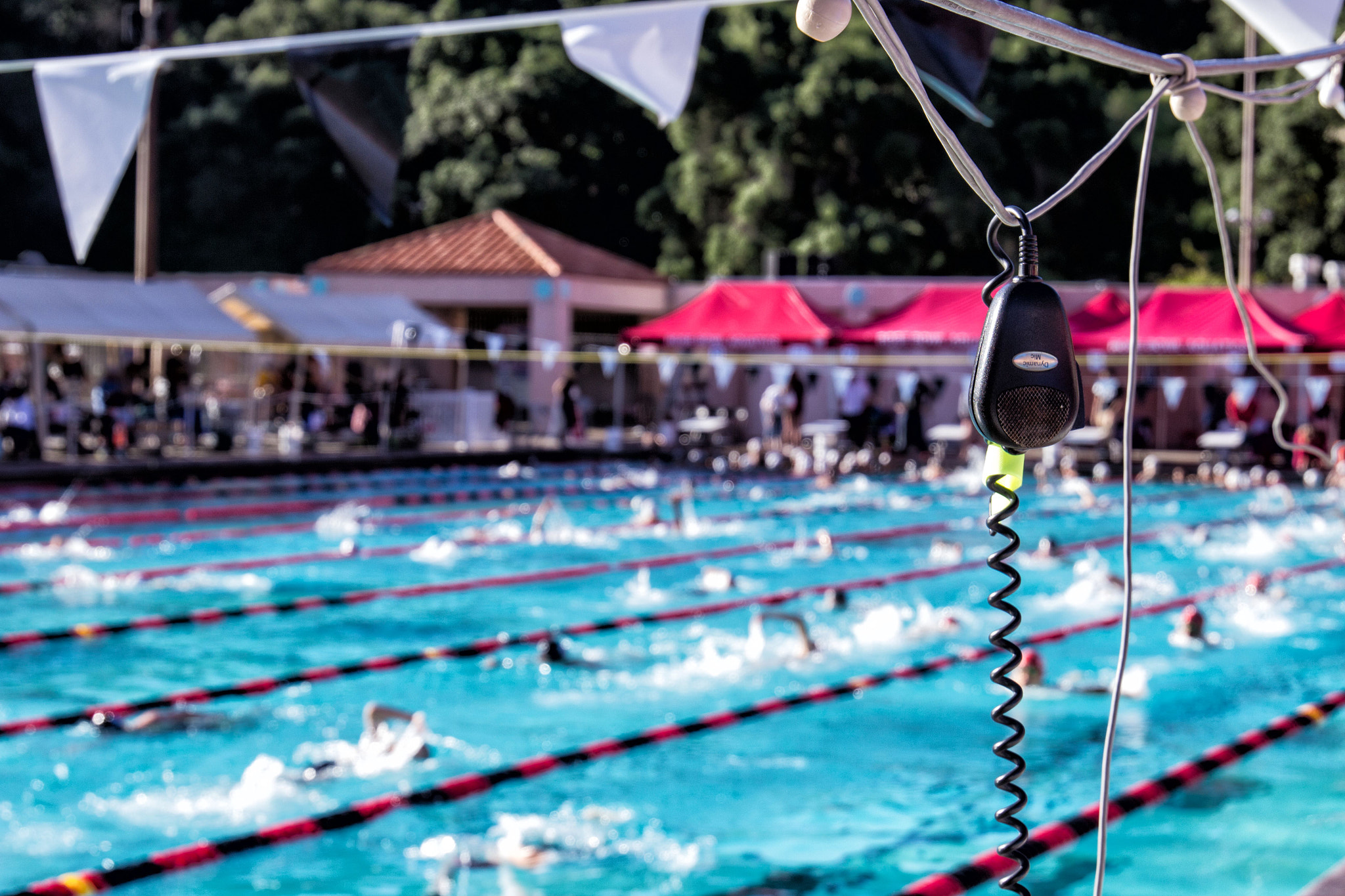 Canon EF 24-105mm F3.5-5.6 IS STM sample photo. Swimmeet1 photography