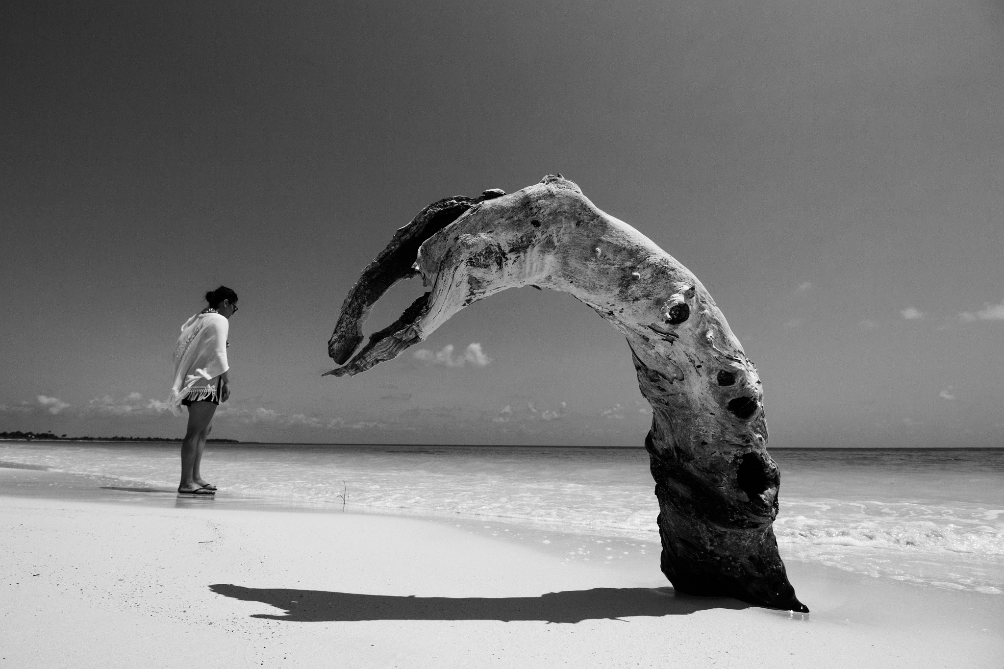 Canon EF-S 10-18mm F4.5–5.6 IS STM sample photo. Strange creature photography