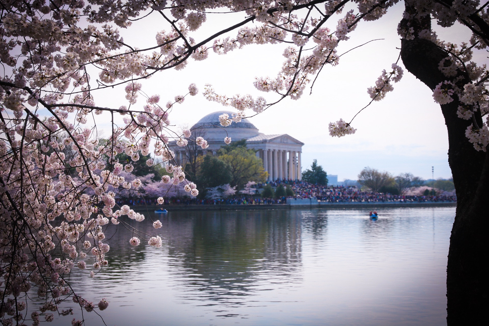 Canon EOS 760D (EOS Rebel T6s / EOS 8000D) sample photo. Jefferson memorial  photography