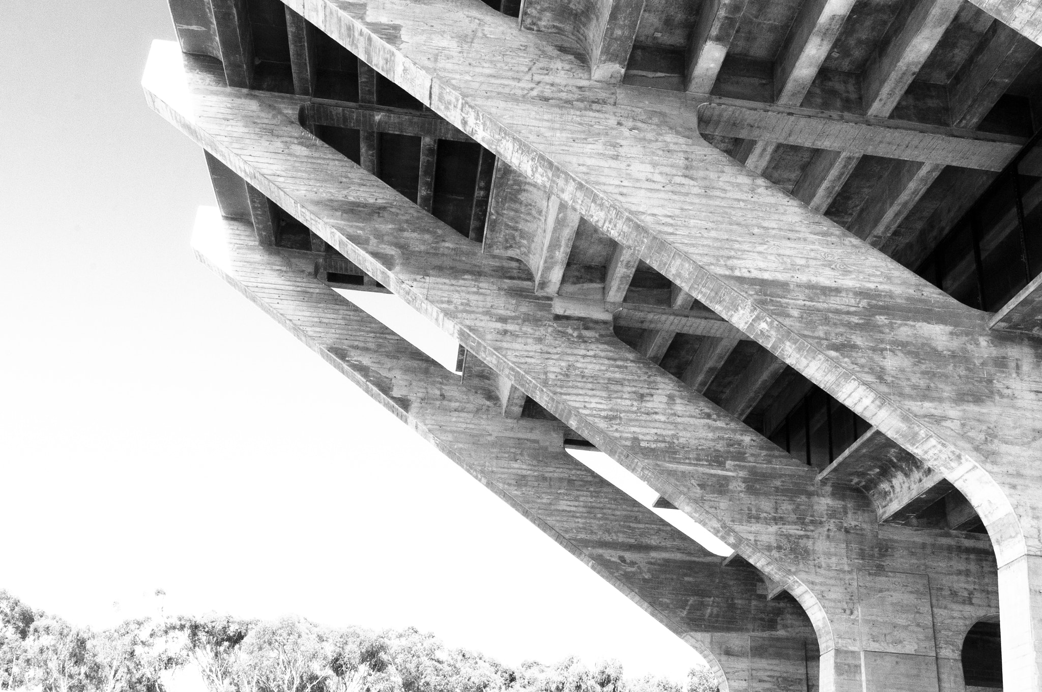 Nikon AF-S Nikkor 17-35mm F2.8D ED-IF sample photo. "y", roof line of geisel library, ucsd photography
