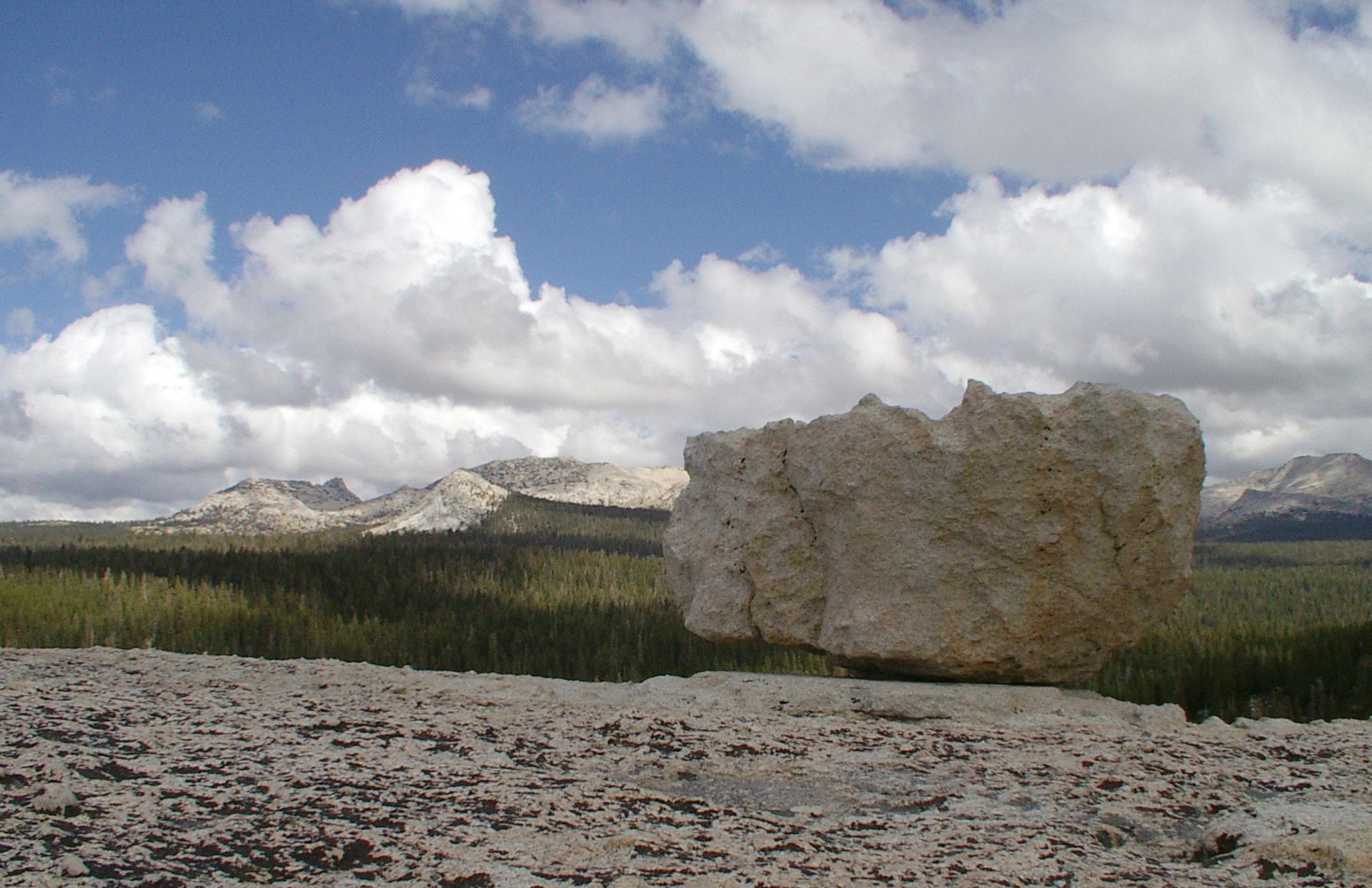 Pentax OPTIO MX sample photo. Tuolumne meadows photography