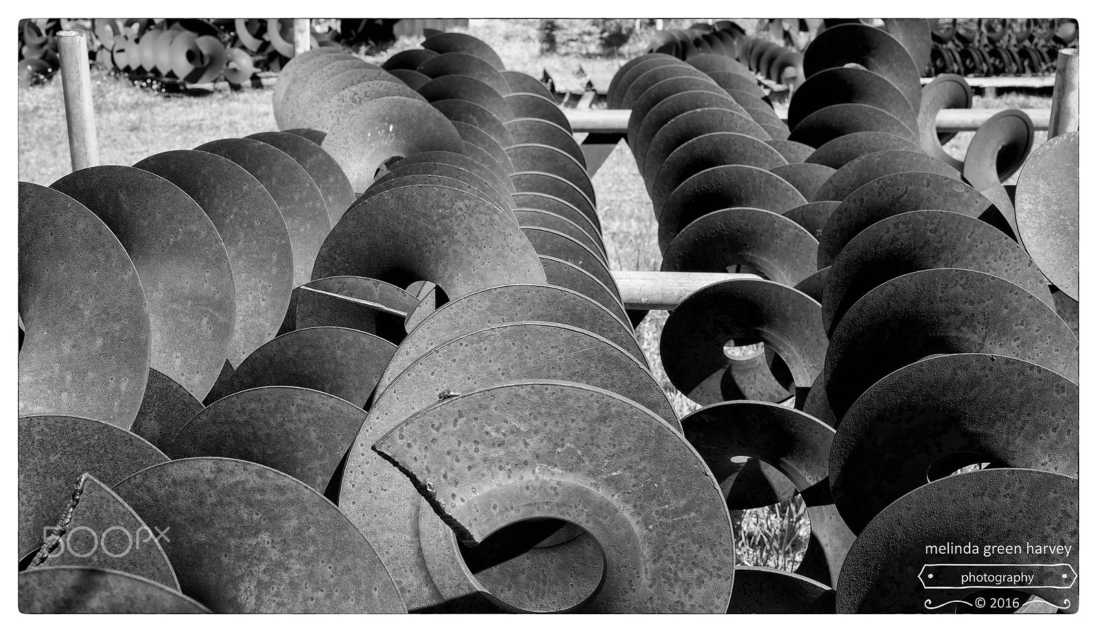Leica Summarit-M 50mm F2.4 sample photo. Augers photography