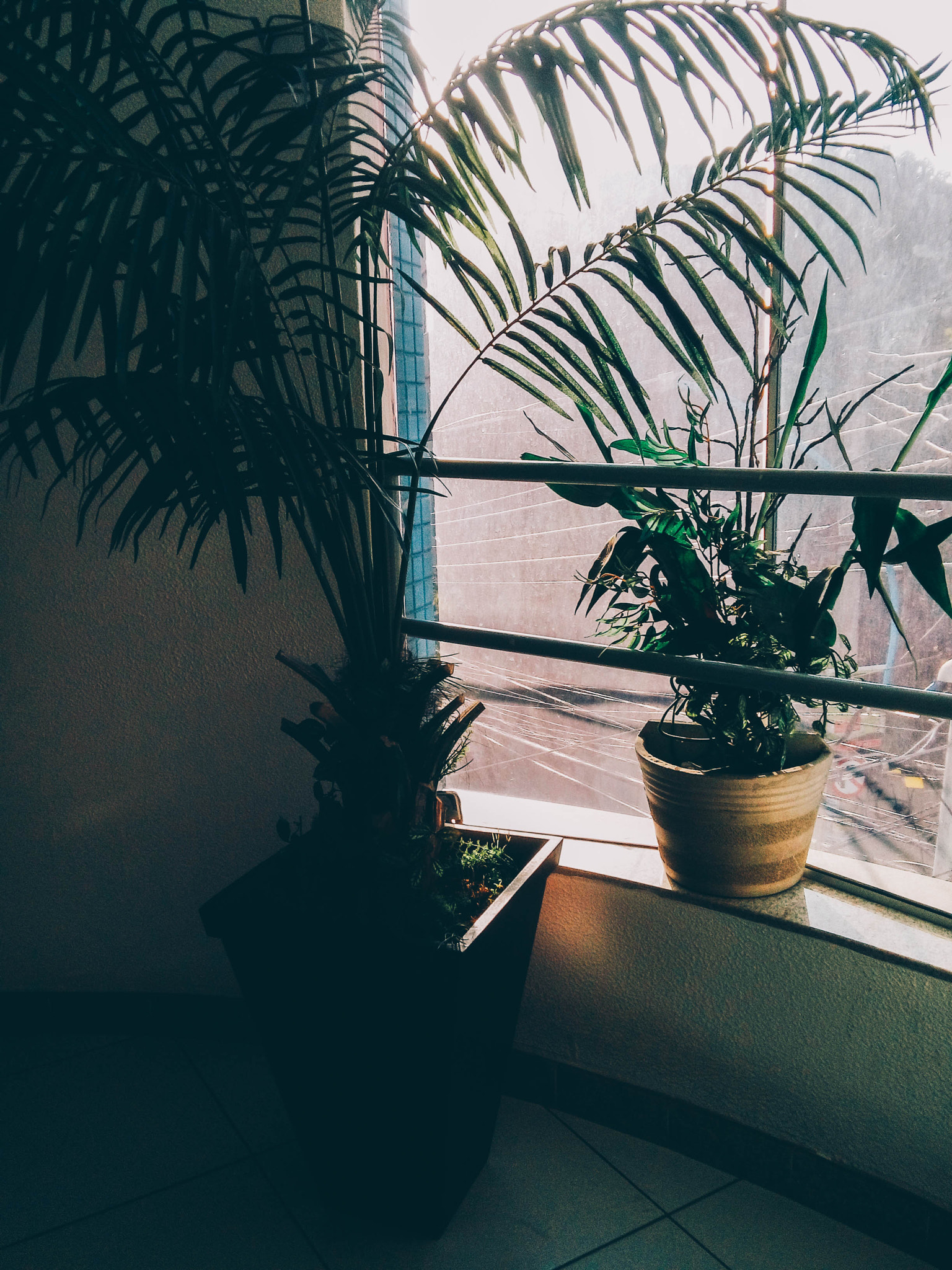 LG L Bello sample photo. Two friends photography